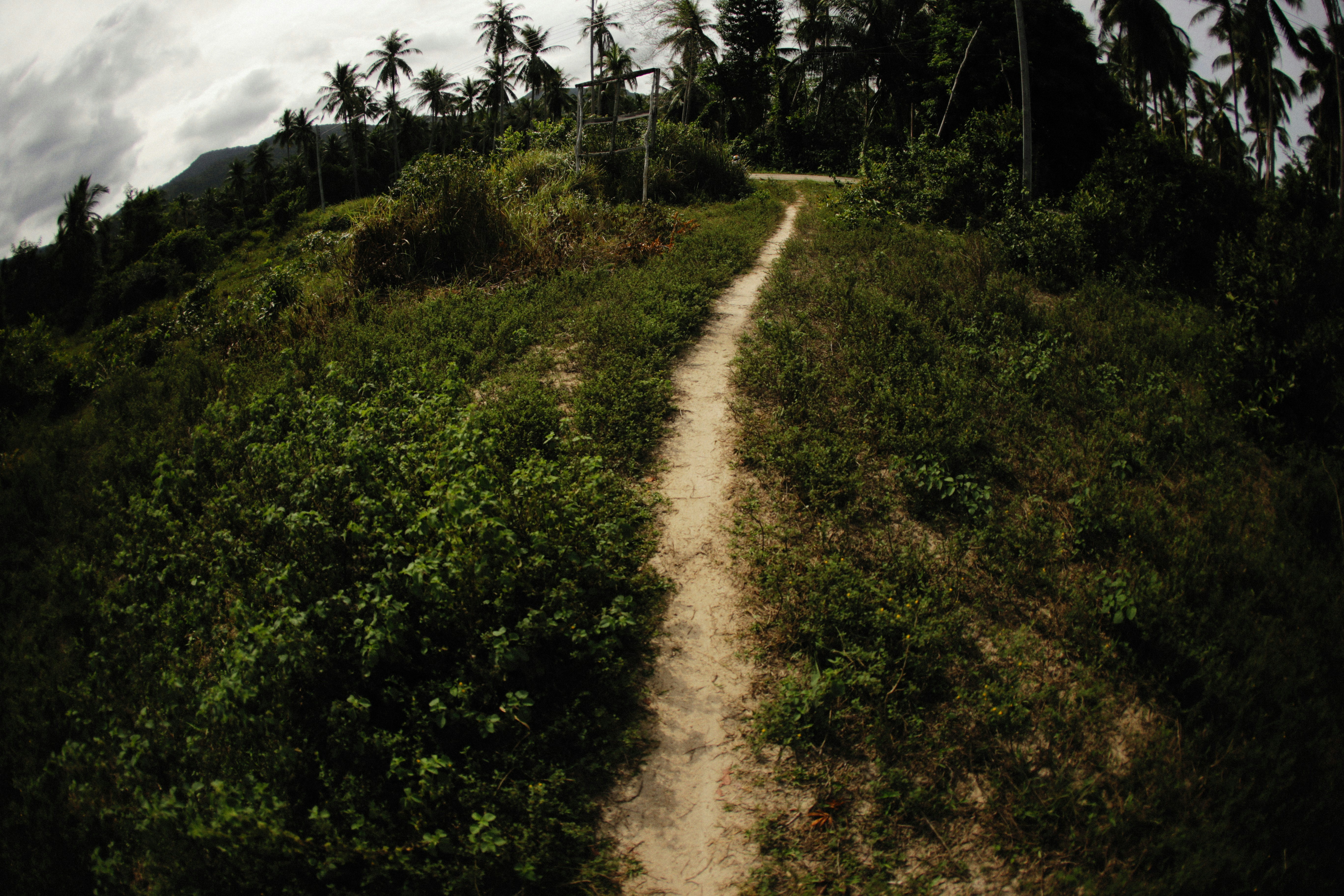 Photo by alexeydemidov