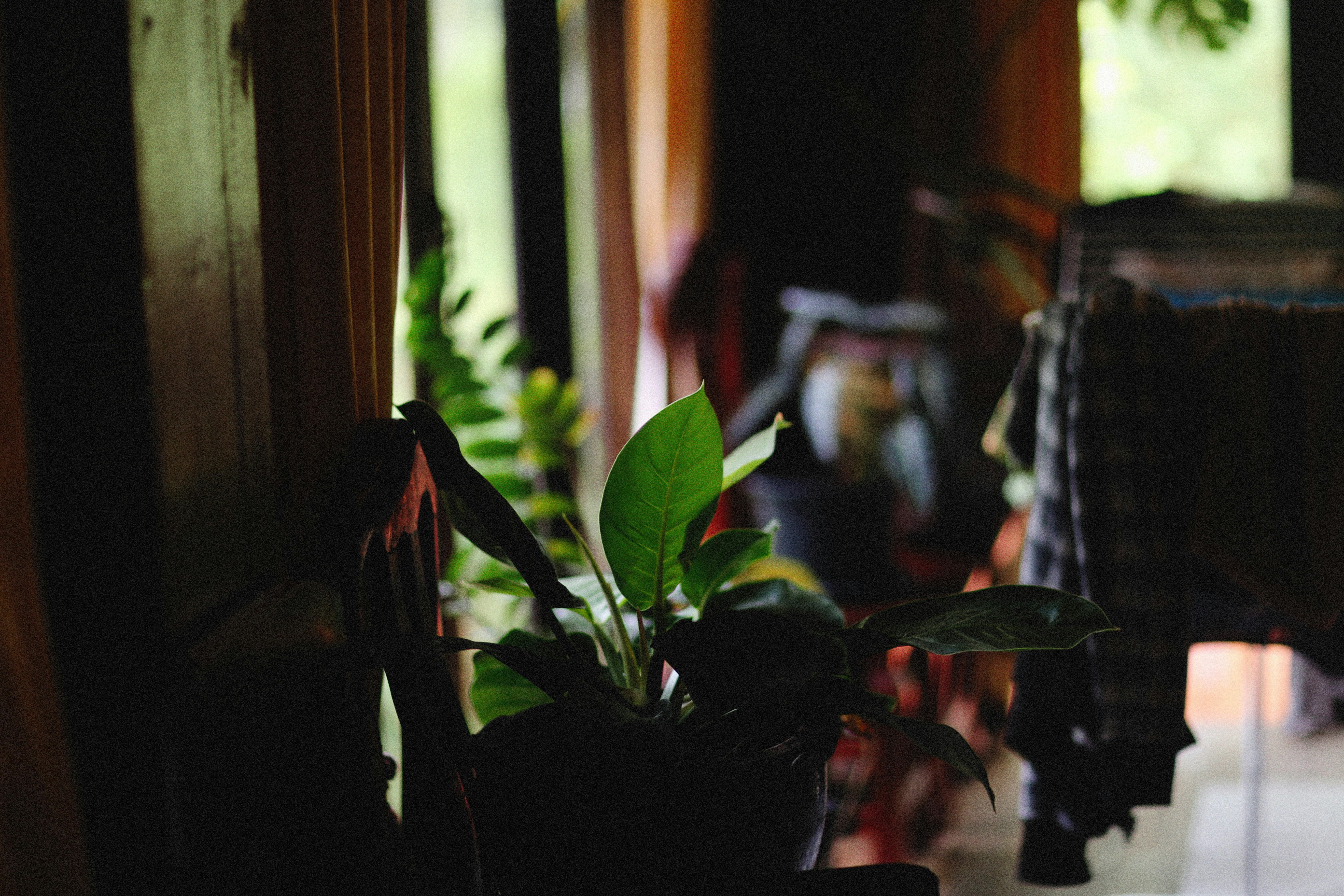 Ways to succeed in family trust cultivation