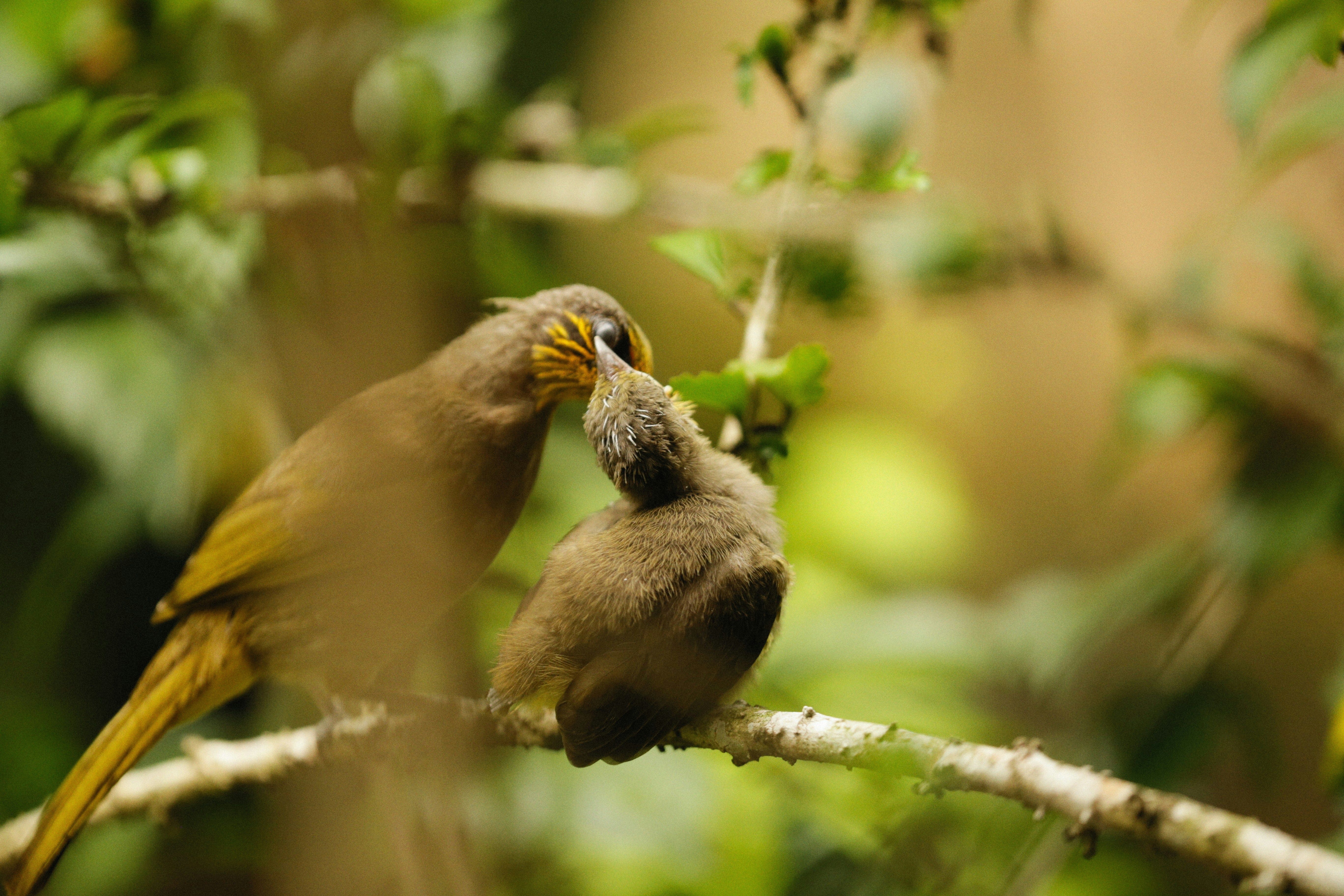 Photo by alexeydemidov