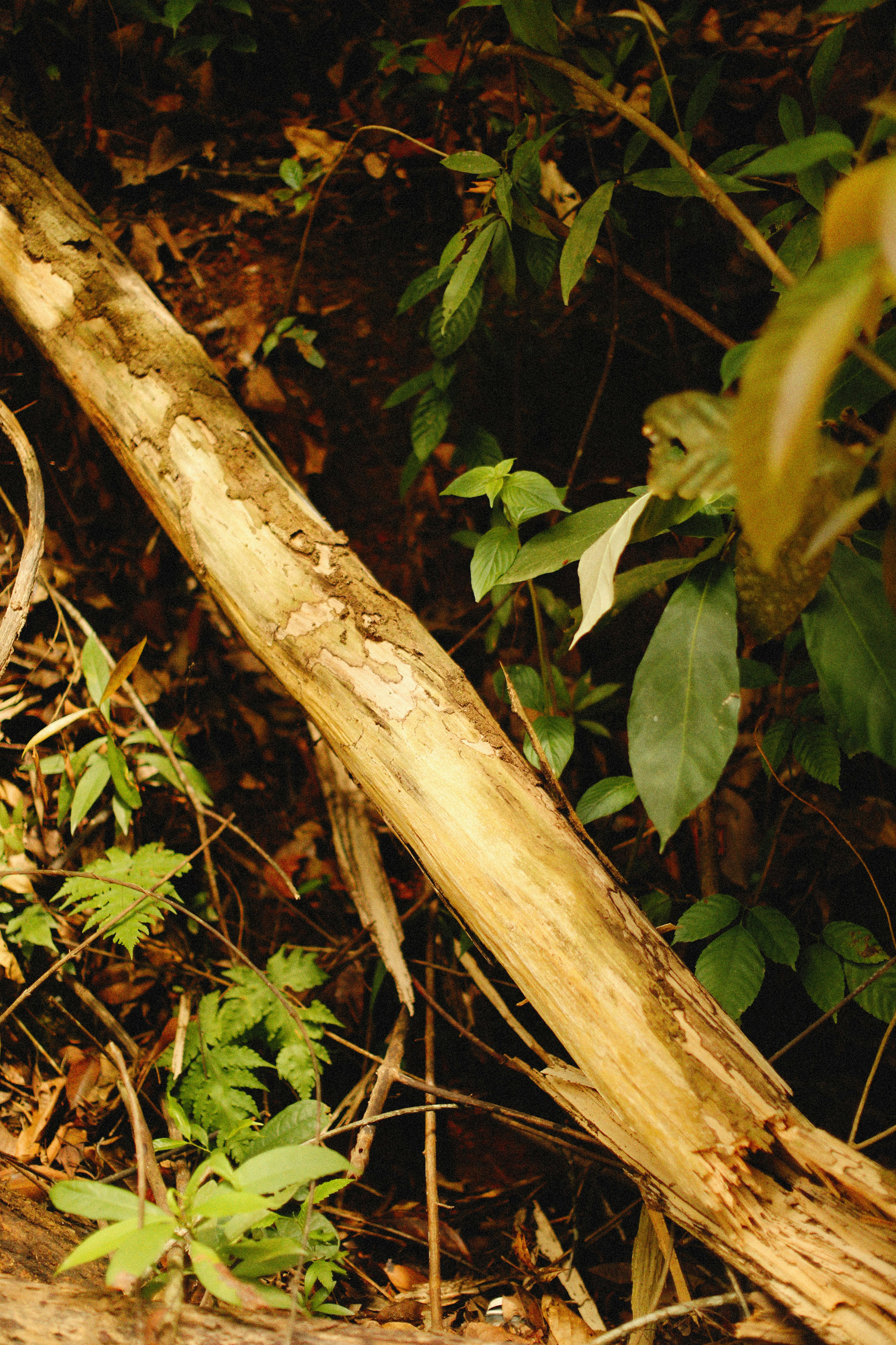 Photo by alexeydemidov