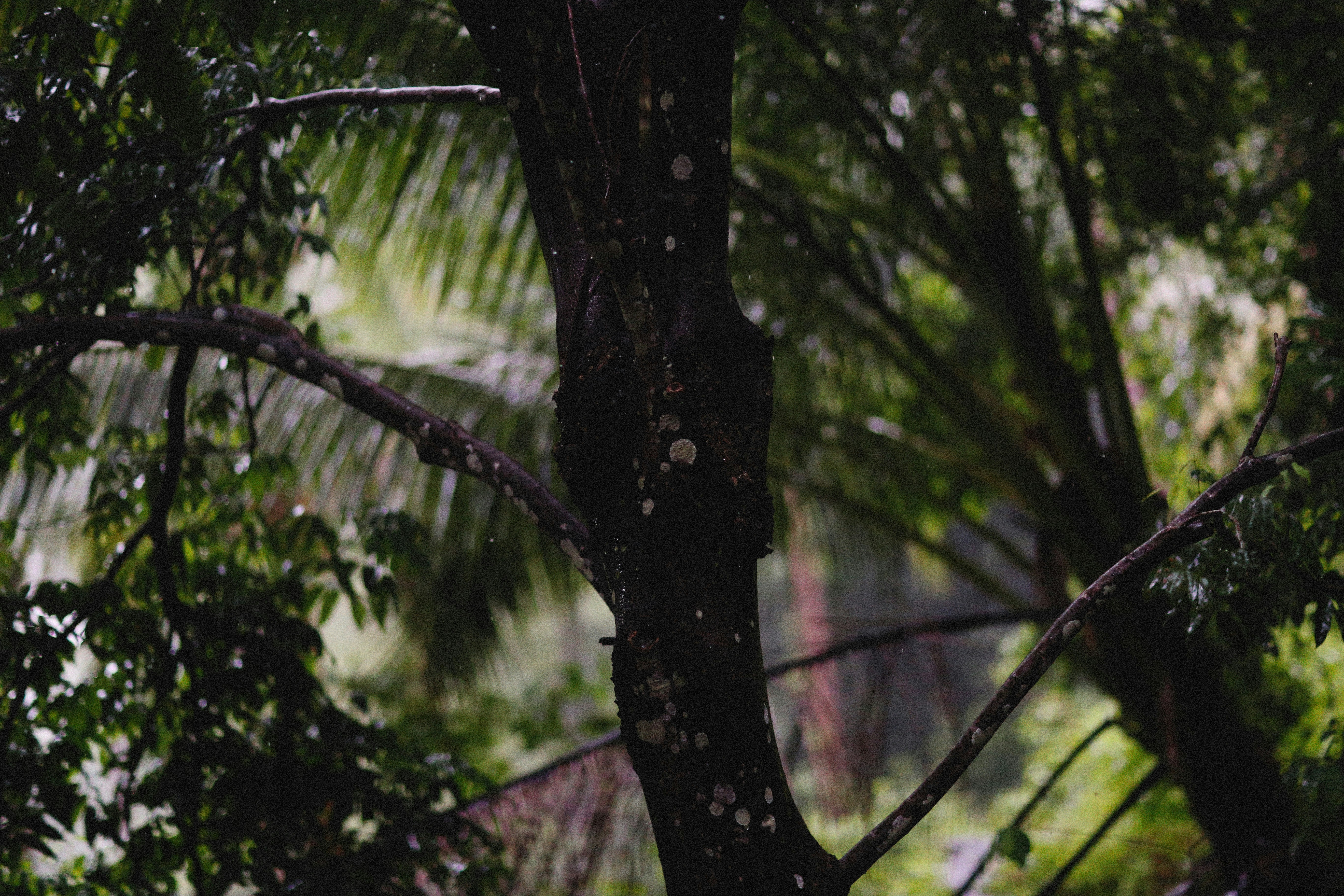 Photo by alexeydemidov