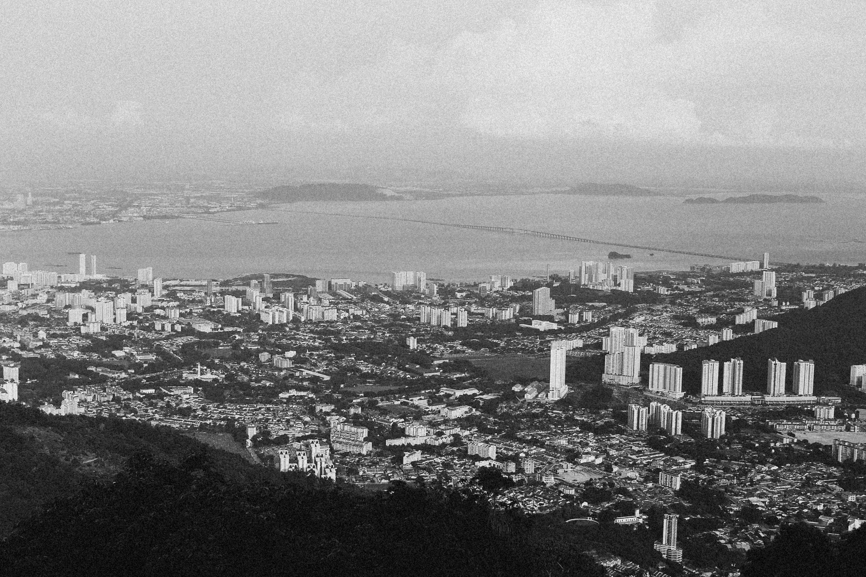 Photo by alexeydemidov