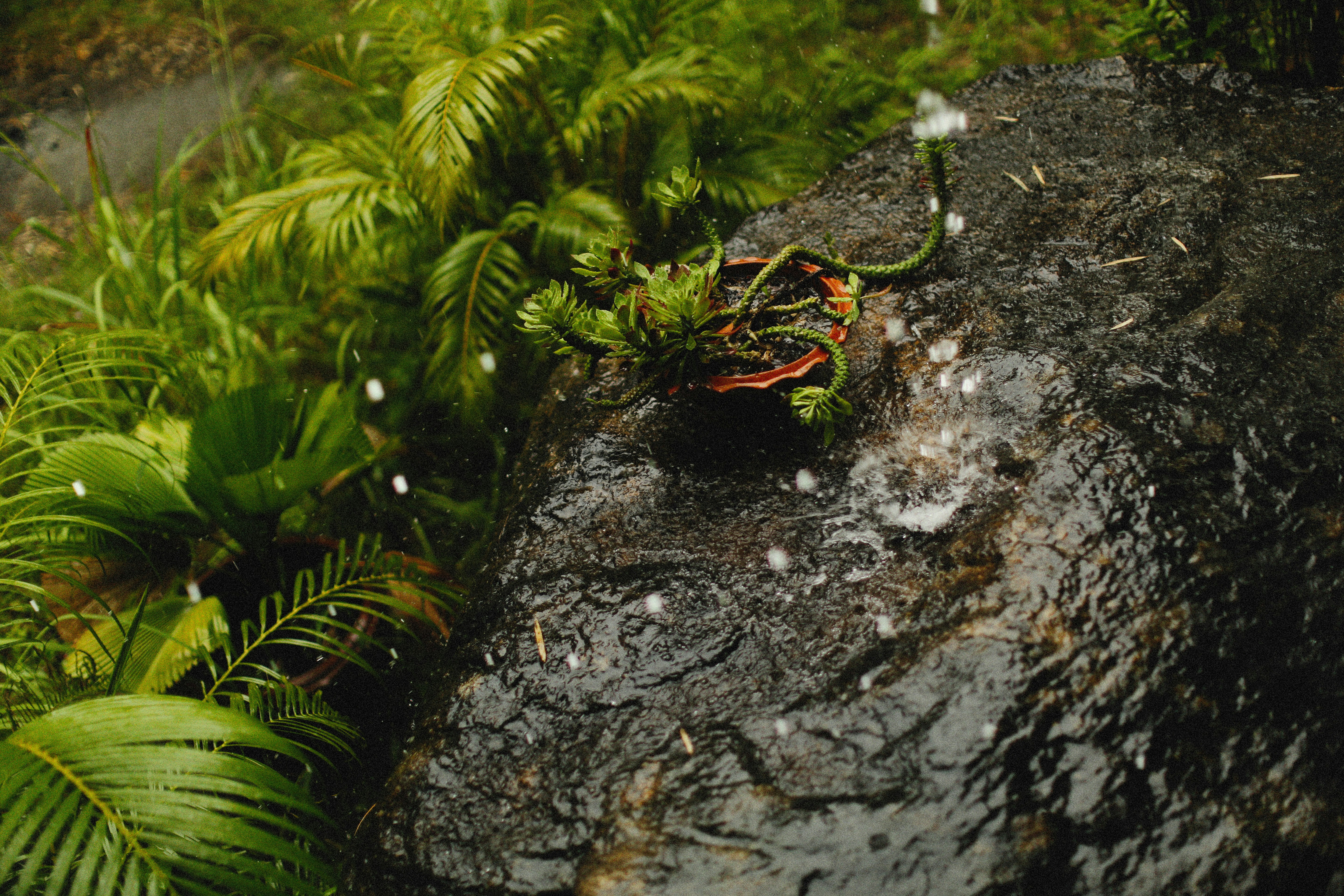 Photo by alexeydemidov