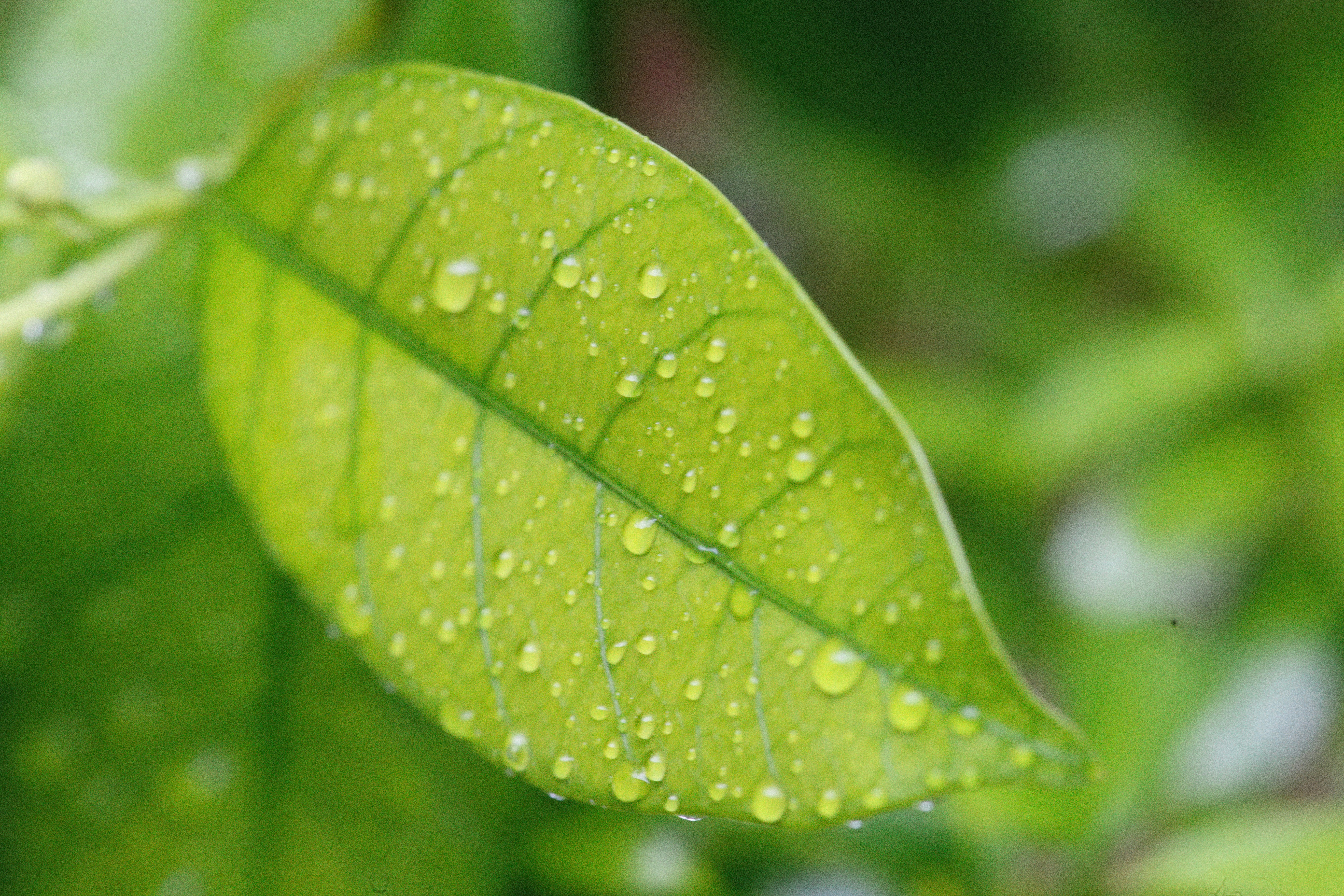 Photo by alexeydemidov