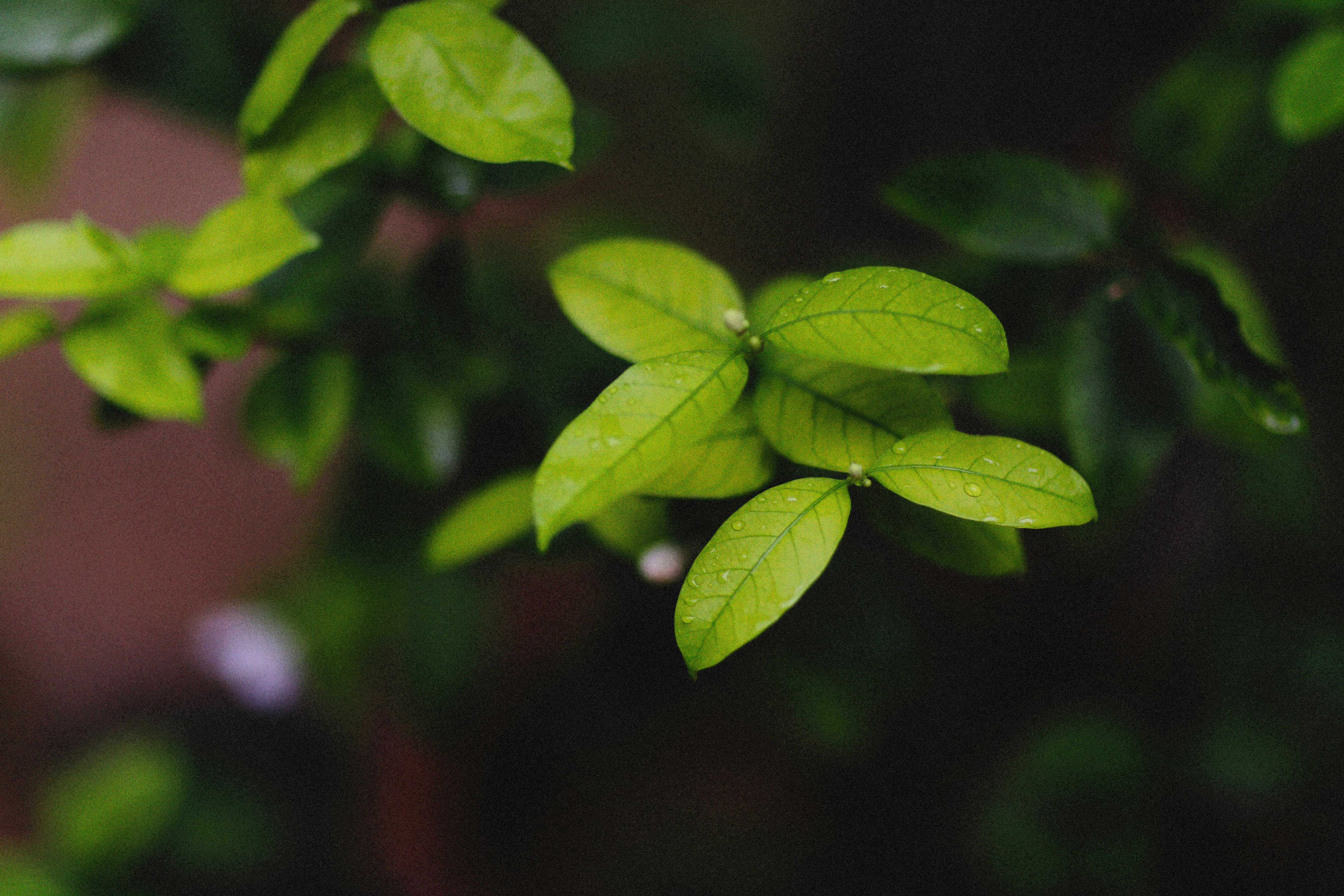 Photo by alexeydemidov