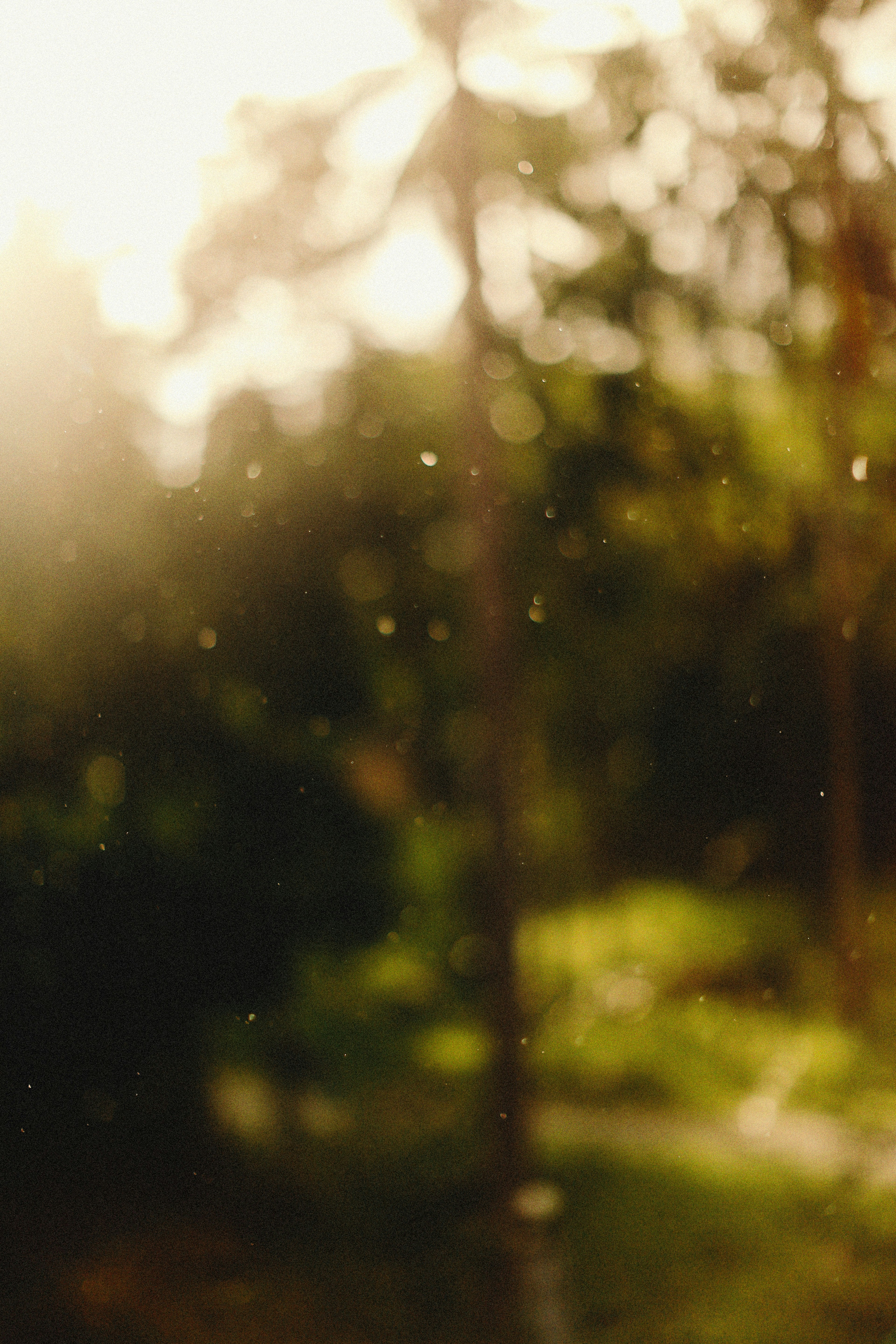 Photo by alexeydemidov