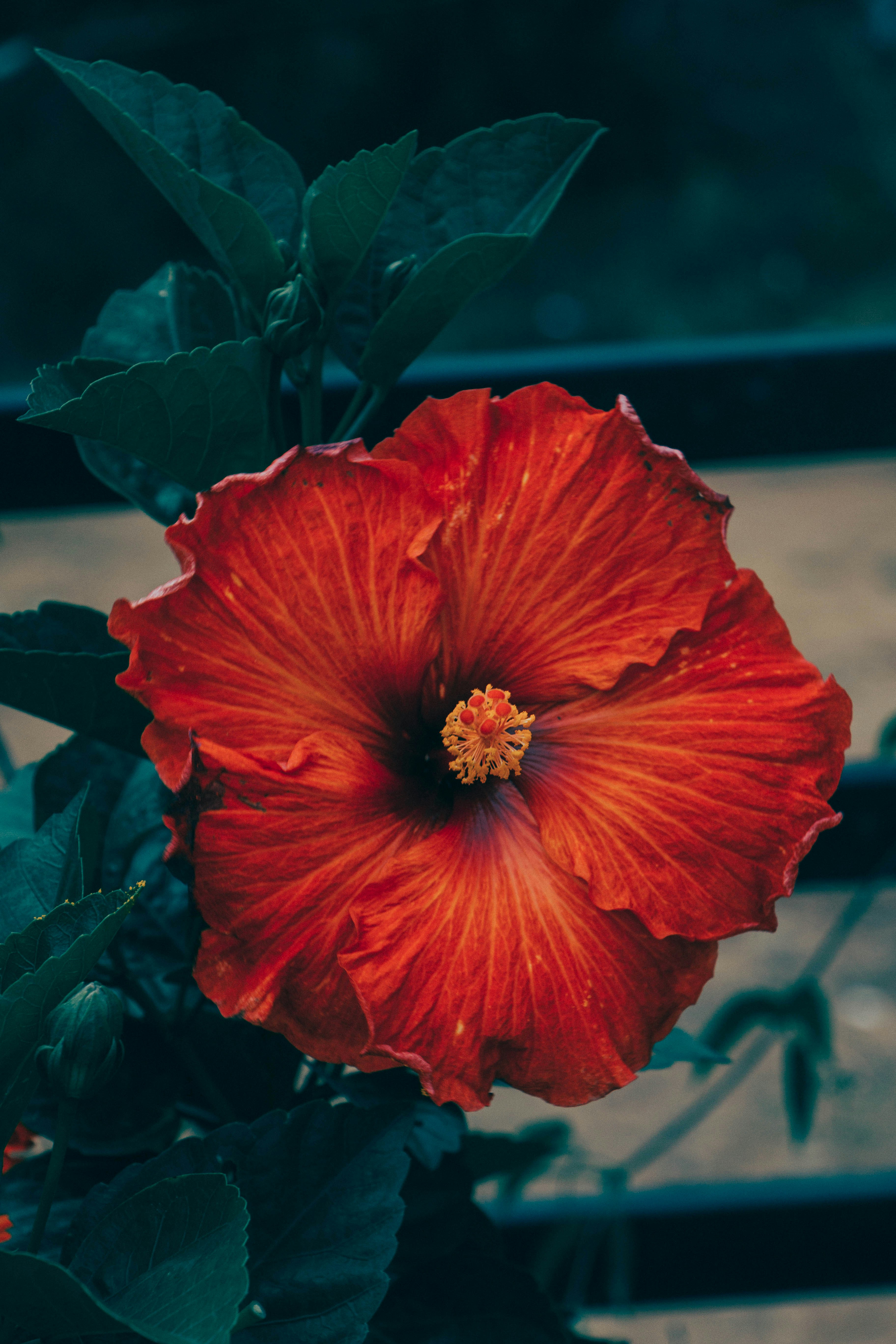 Photo by rishabh_mathew