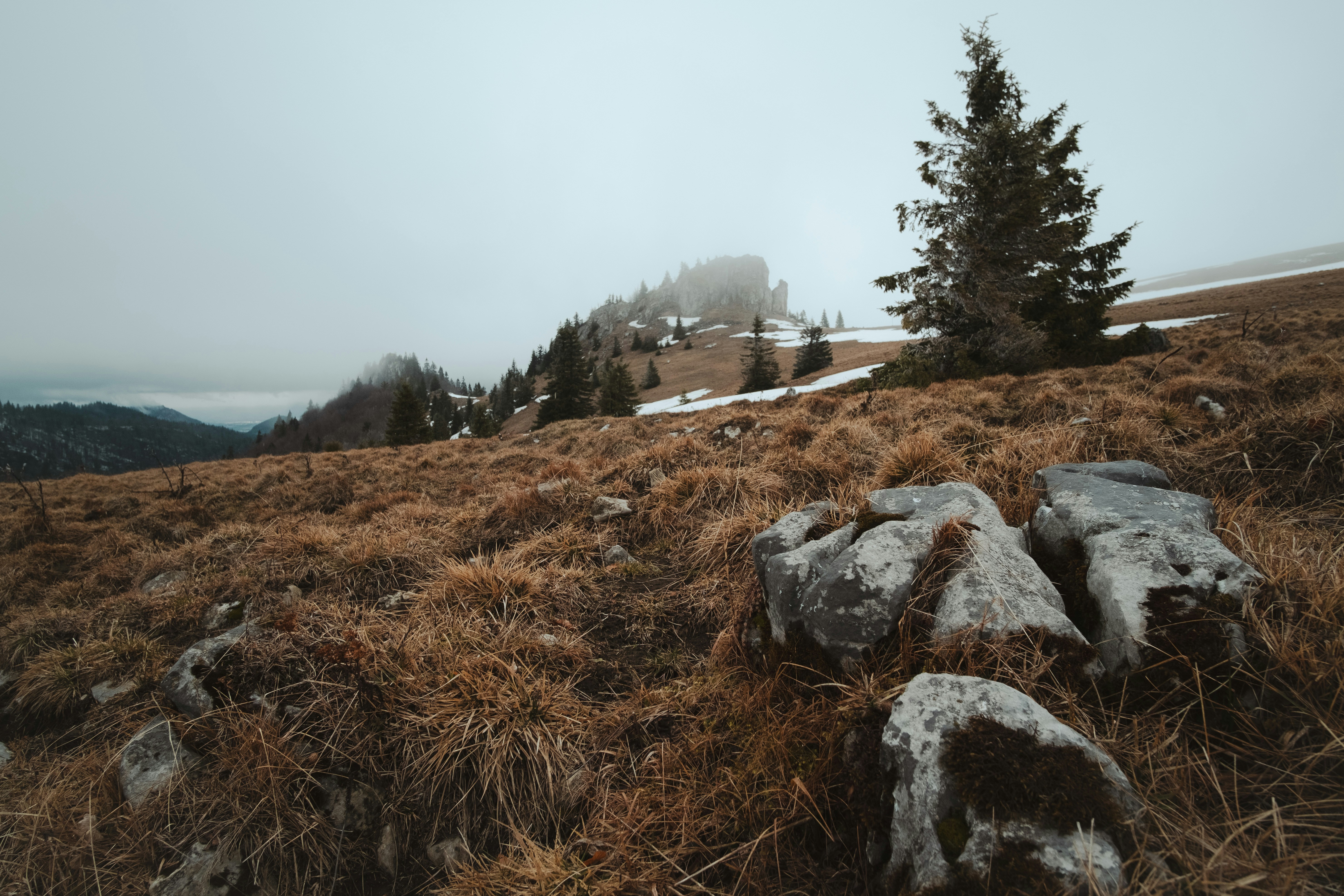 Photo by palivo_duracka