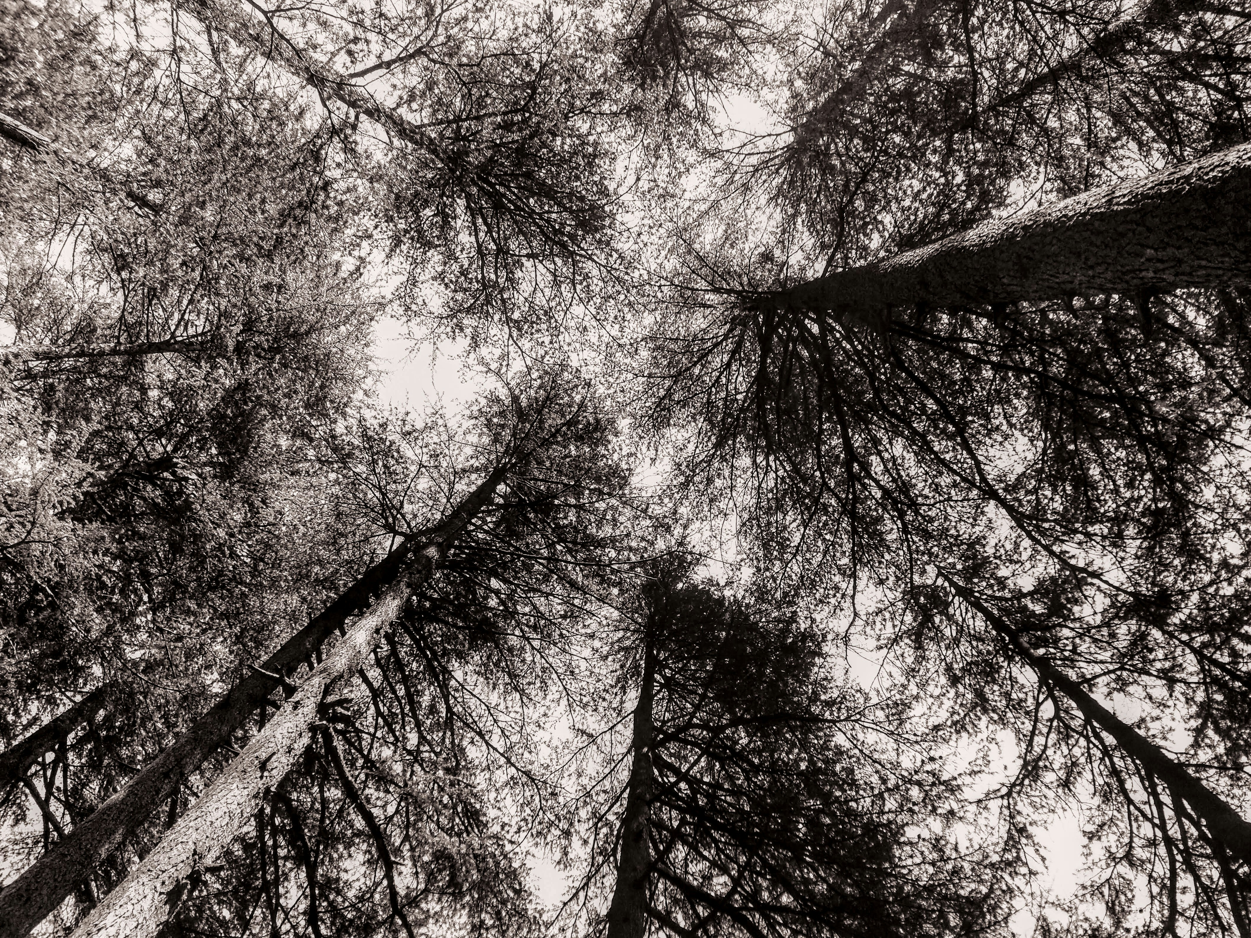 Photo by mikiesharma