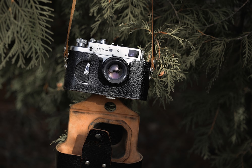 a camera on a tree