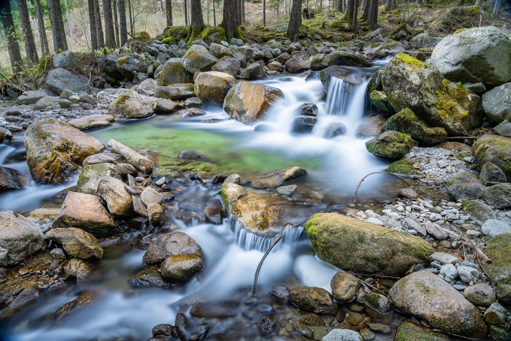 Une petite cascade dans un endroit rocheux