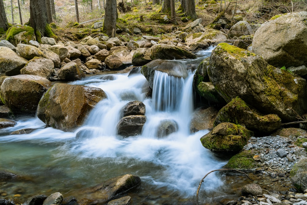 a small waterfall in a forest