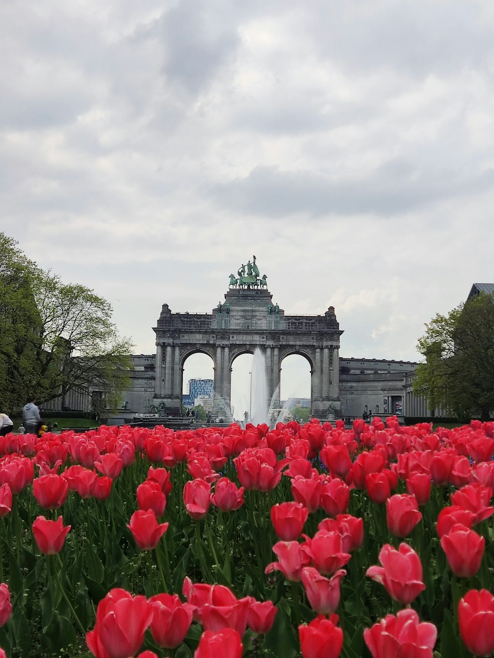 a large group of flowers in front of a large building