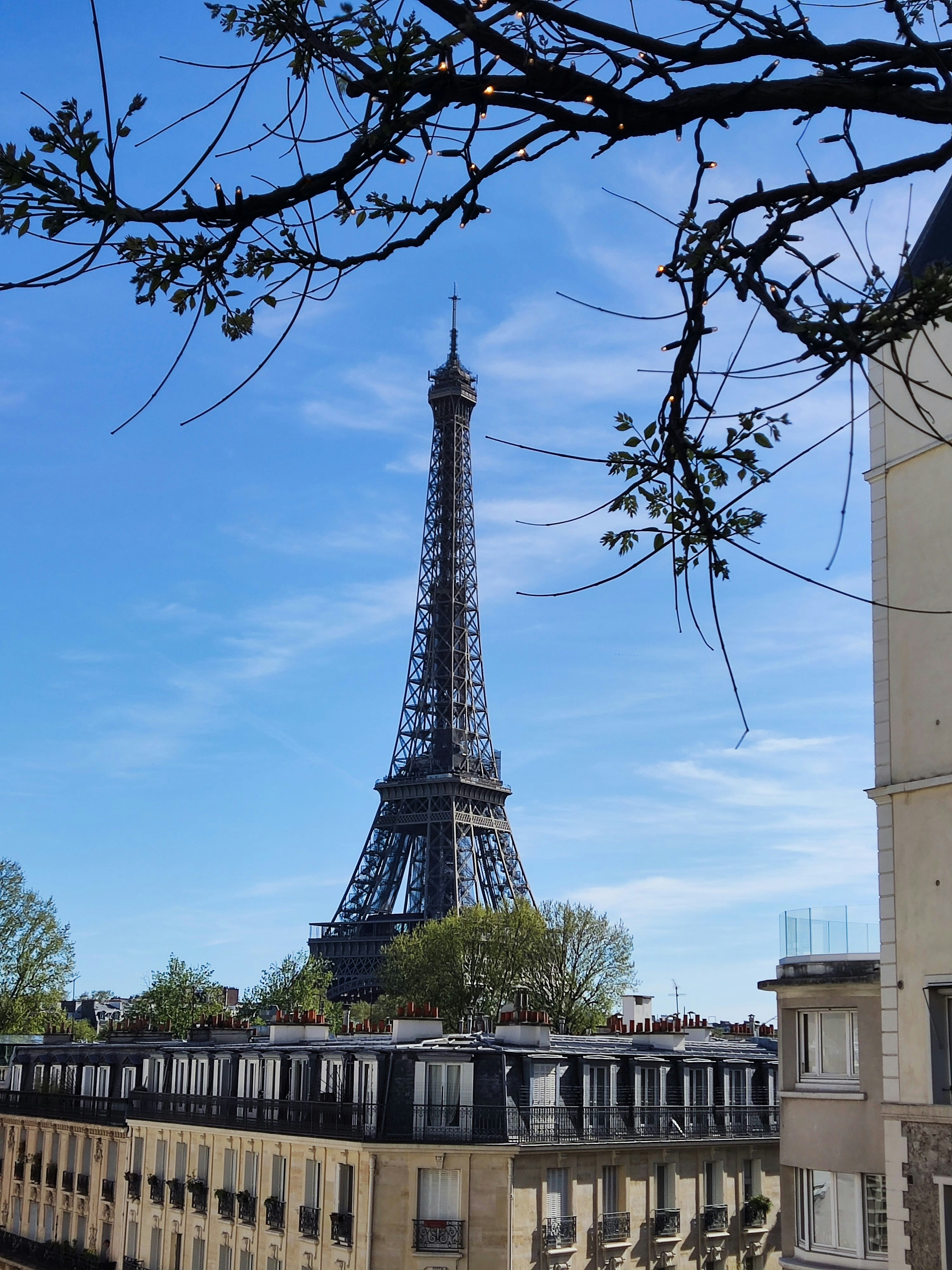 Photo by chandreshraj007