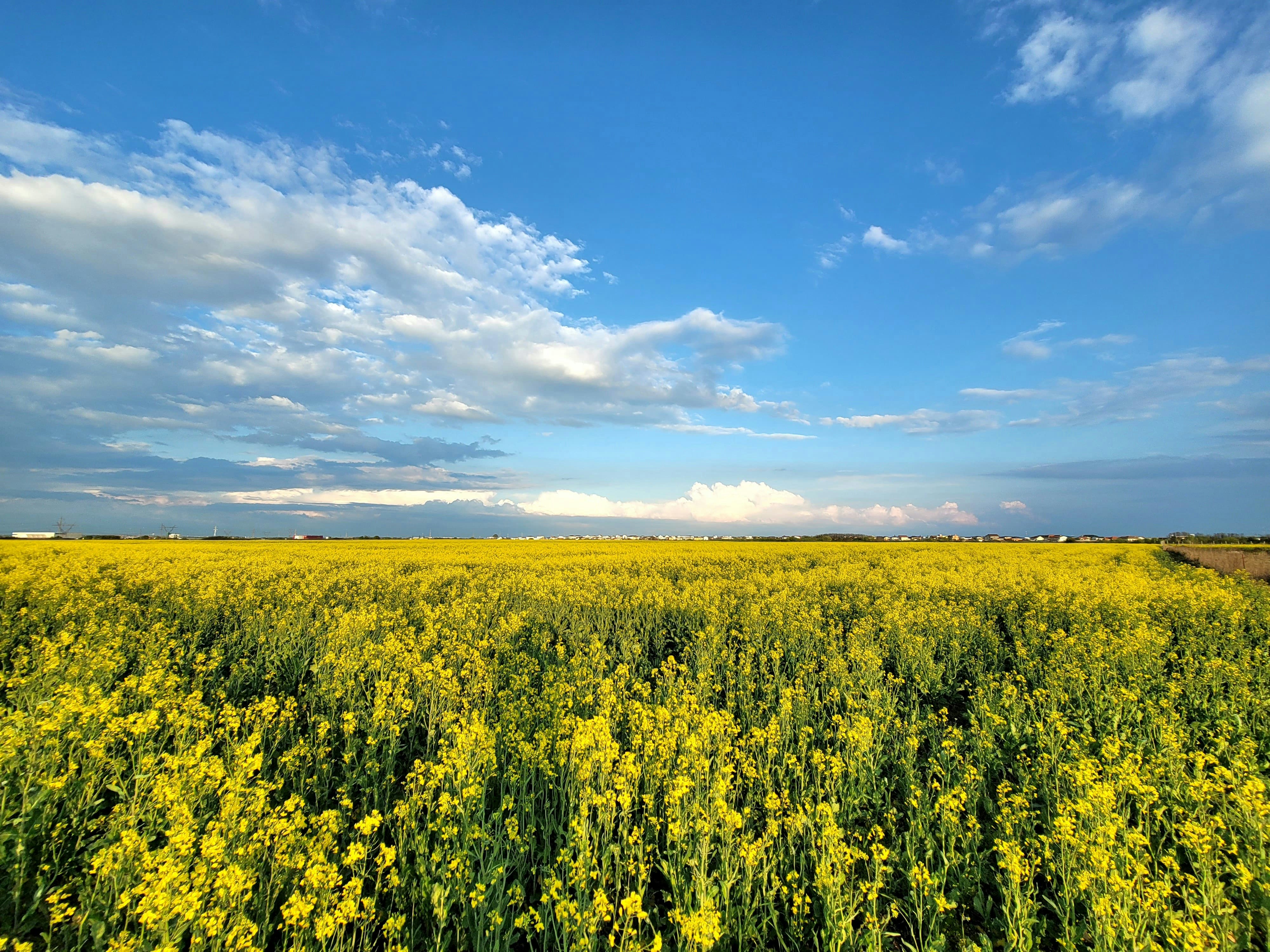 Photo by ovidiugruescu