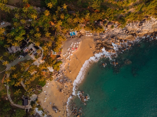 An aerial view of a scenic beach surrounded by lush palm trees and rocky cliffs. The sandy shore is equipped with numerous sun loungers and beach umbrellas, some of which are red. The turquoise ocean waves gently lap against the shoreline. Small structures and pathways are visible amidst the dense greenery along the coast.