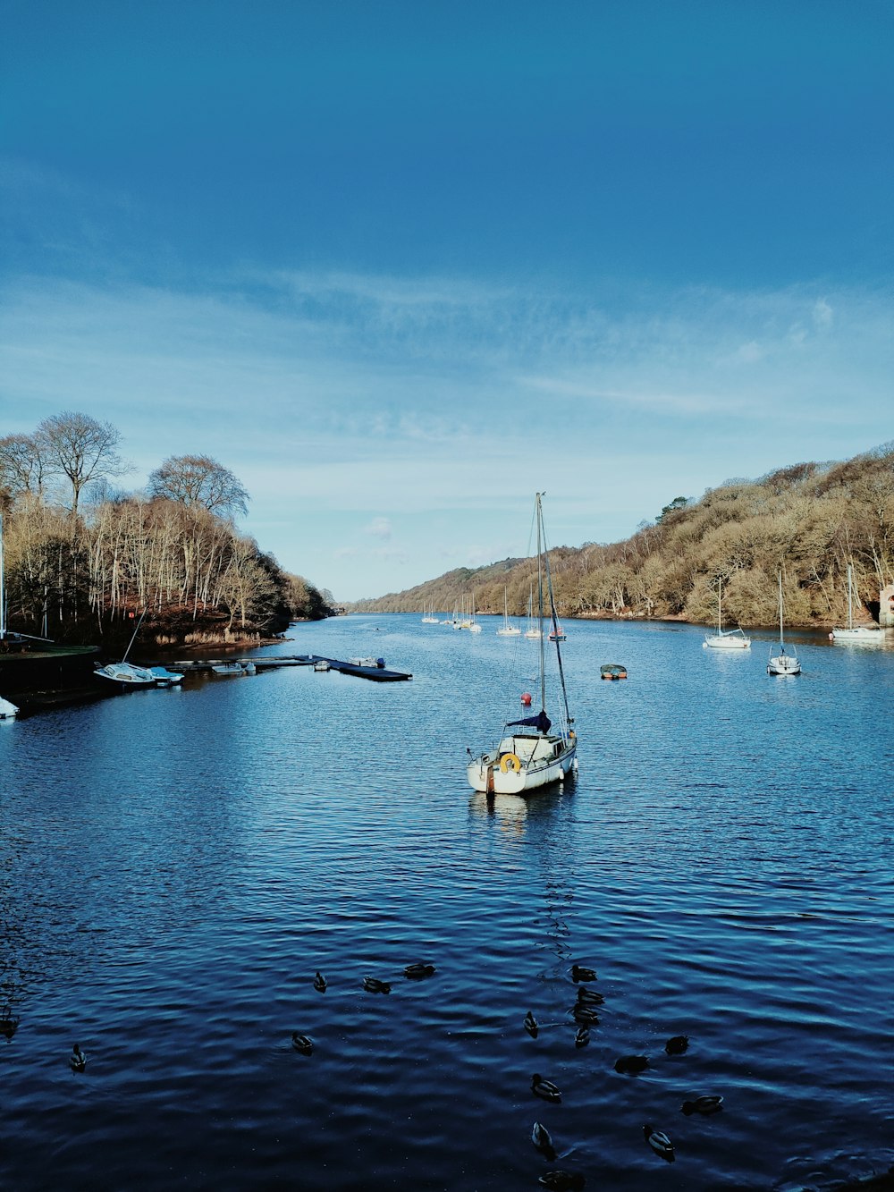 a group of boats sit in a harbor