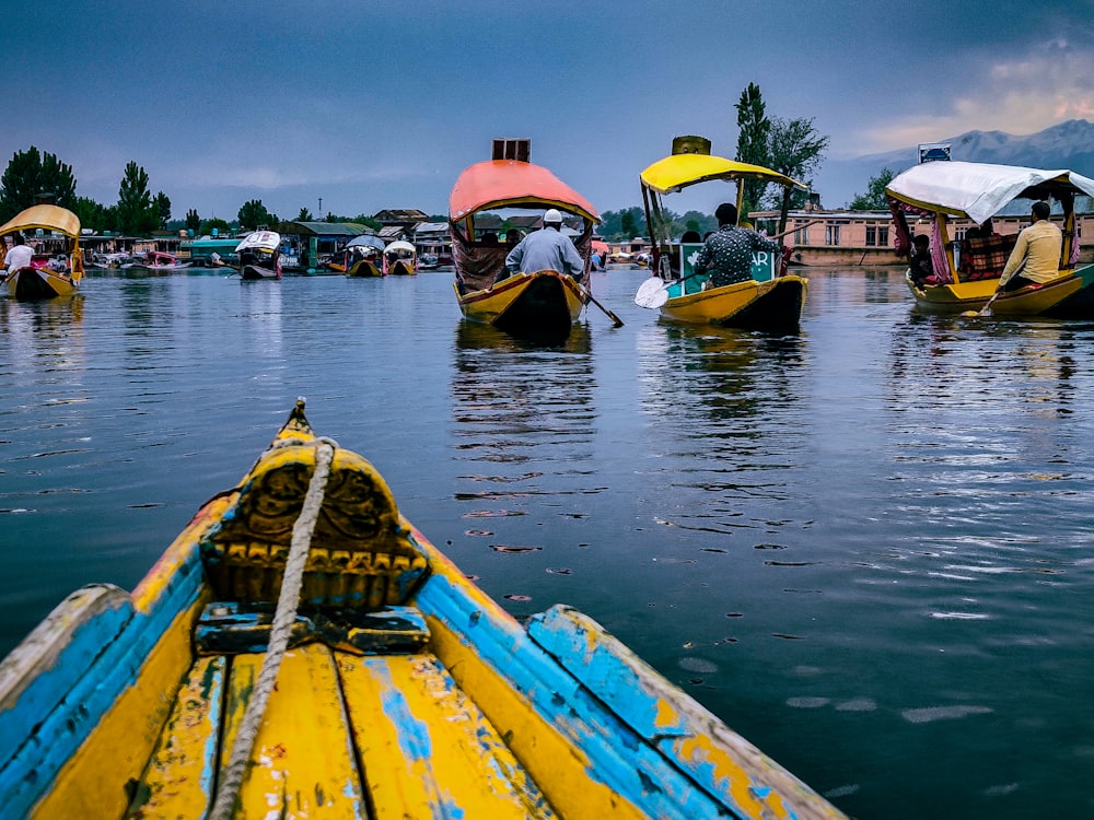 boats in the water