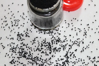 Close-up of rich, golden Ethiopian nigella oil in a rustic glass bottle surrounded by nigella seeds.