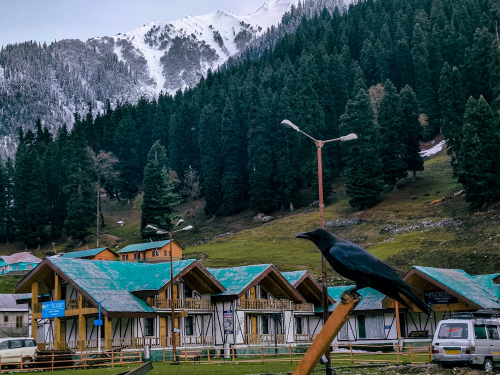 a building with a slide in front of it and trees in the back