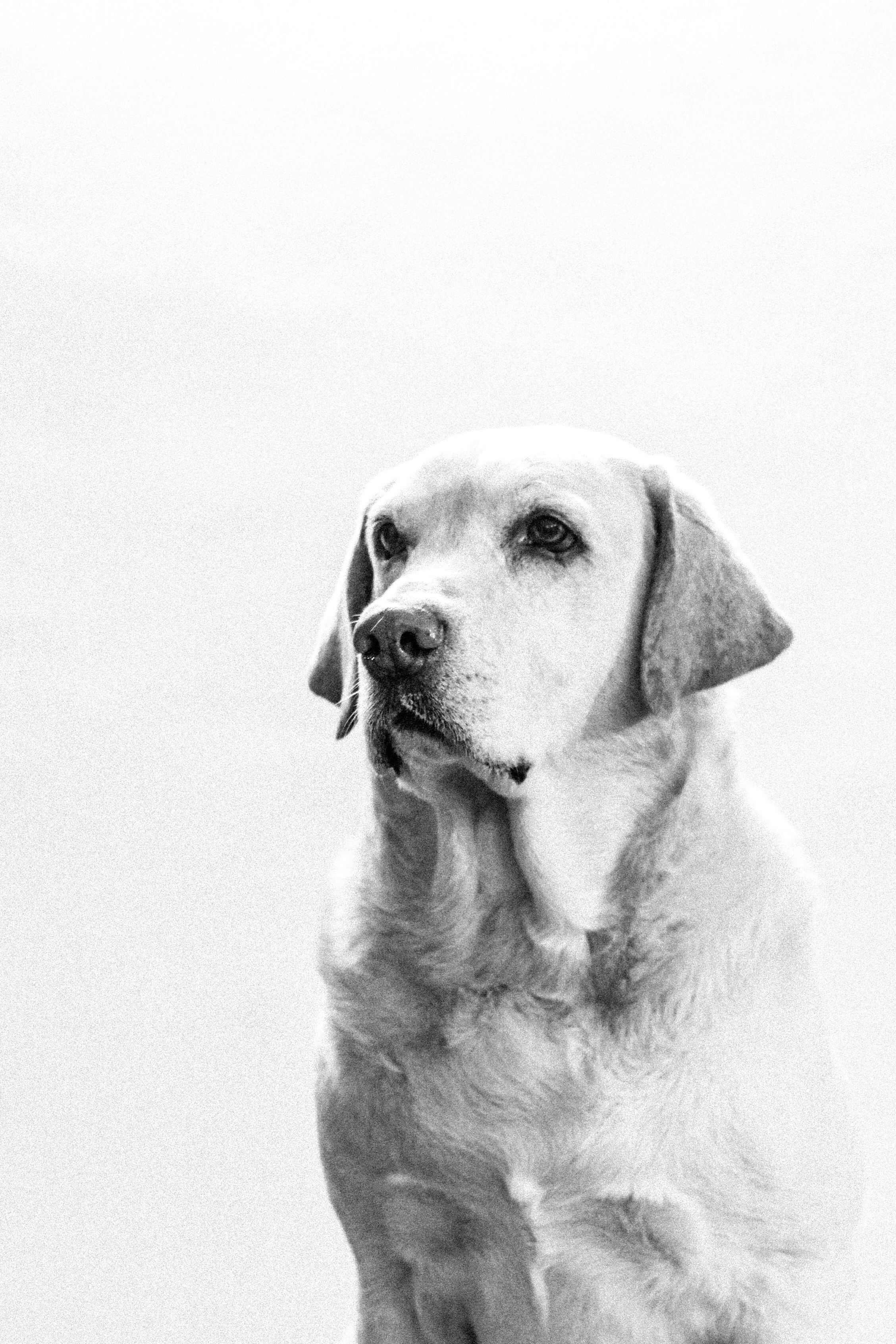 Photo by vpphotographers