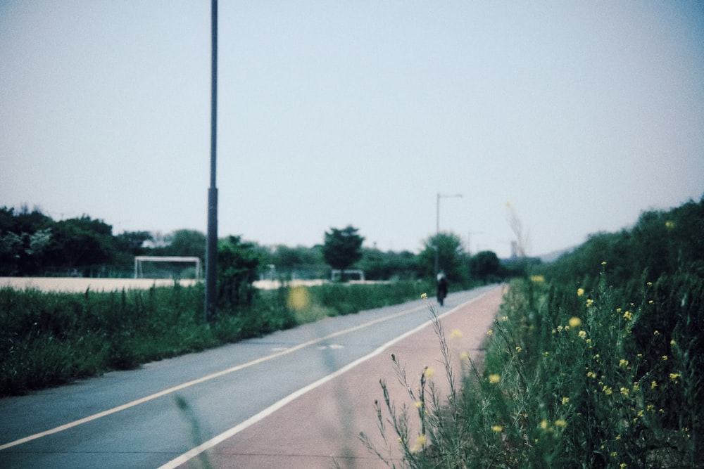 a person riding a bicycle on a road with plants on the side