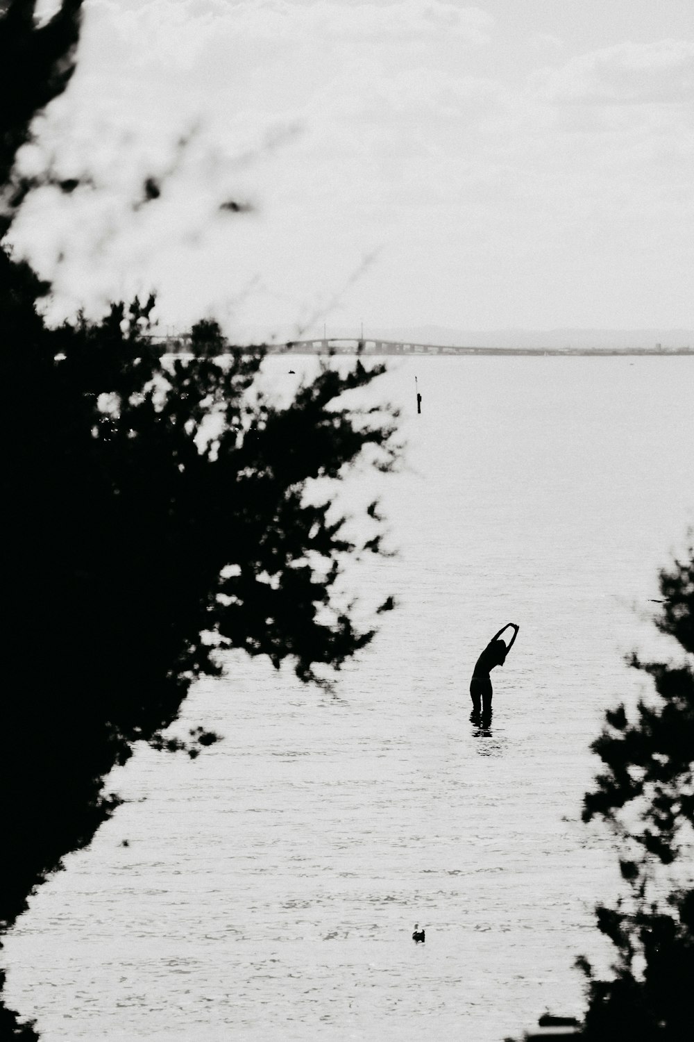 a person standing in a body of water with trees around it