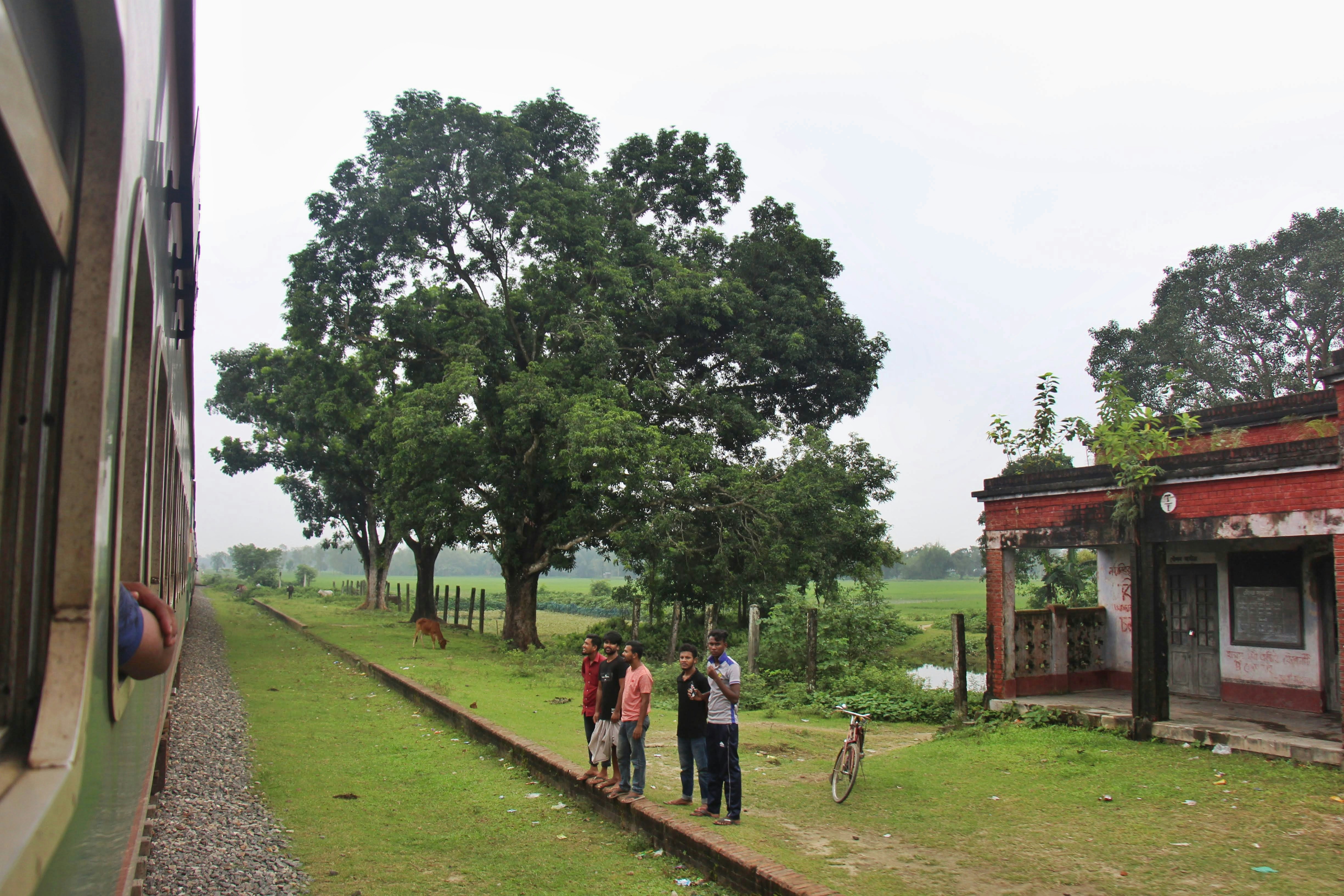 a group of people standing on a train track next to a tree