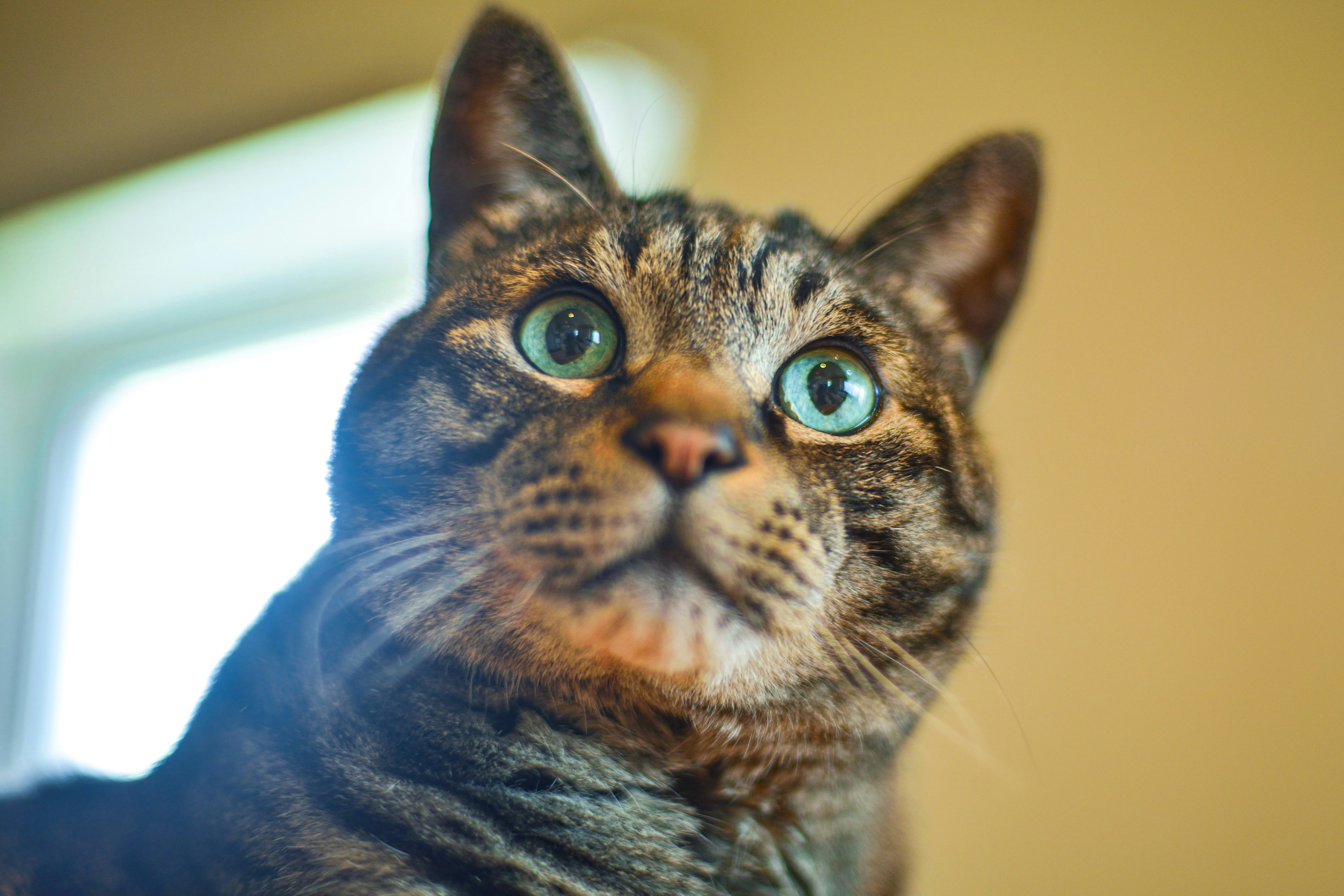 고객님들이 BlogPro를 선택한 이유