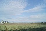 A vast agricultural field stretches into the distance, with rows of crops and greenery. In the background, a range of low mountains or hills is visible under a clear blue sky with scattered clouds. A few small buildings and structures are situated near the horizon, bordered by a line of trees.
