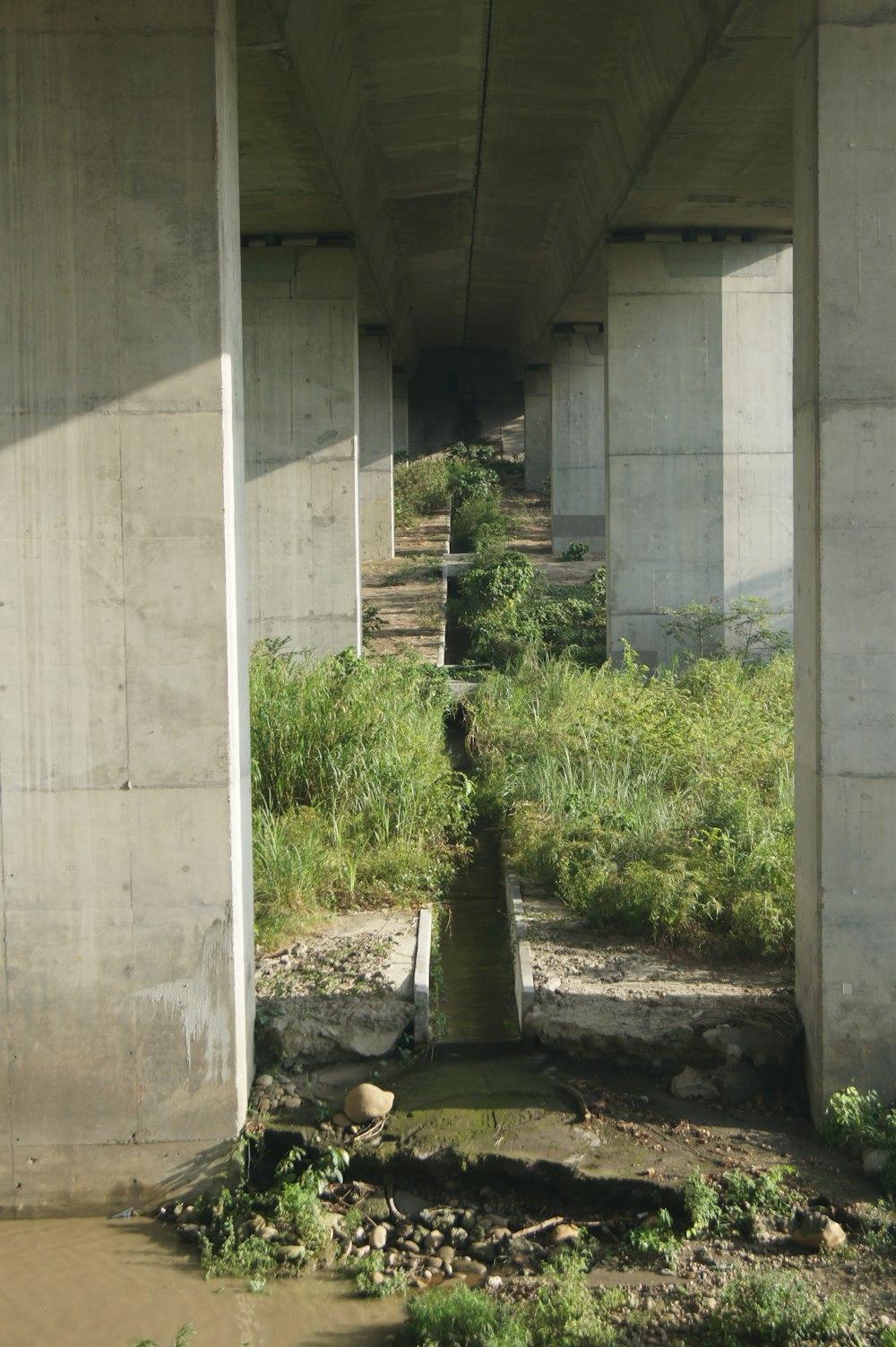 a concrete structure with plants and a stone pillar