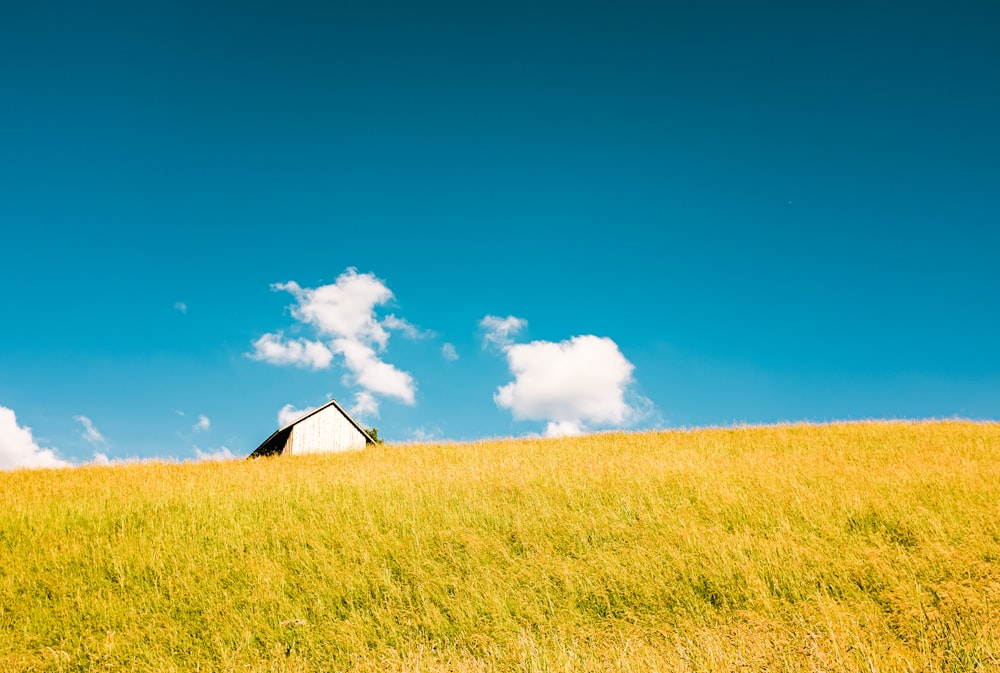 a windmill in a field