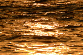 Golden sunlight reflecting off smooth ocean waves under a soft pastel sky.