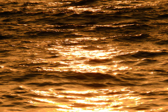 Golden sunlight reflecting off smooth ocean waves under a soft pastel sky.