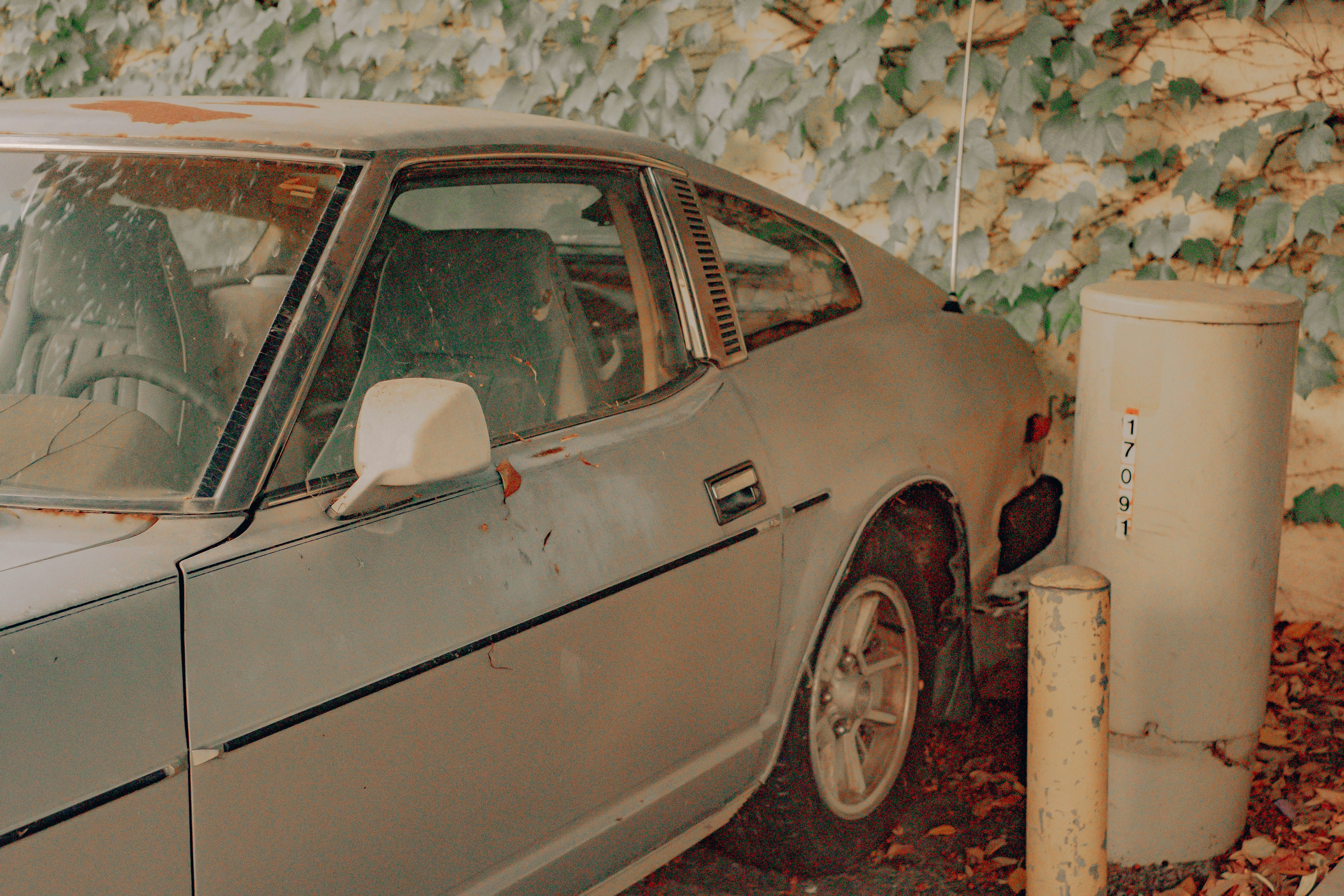 Photo by mattxfotographs