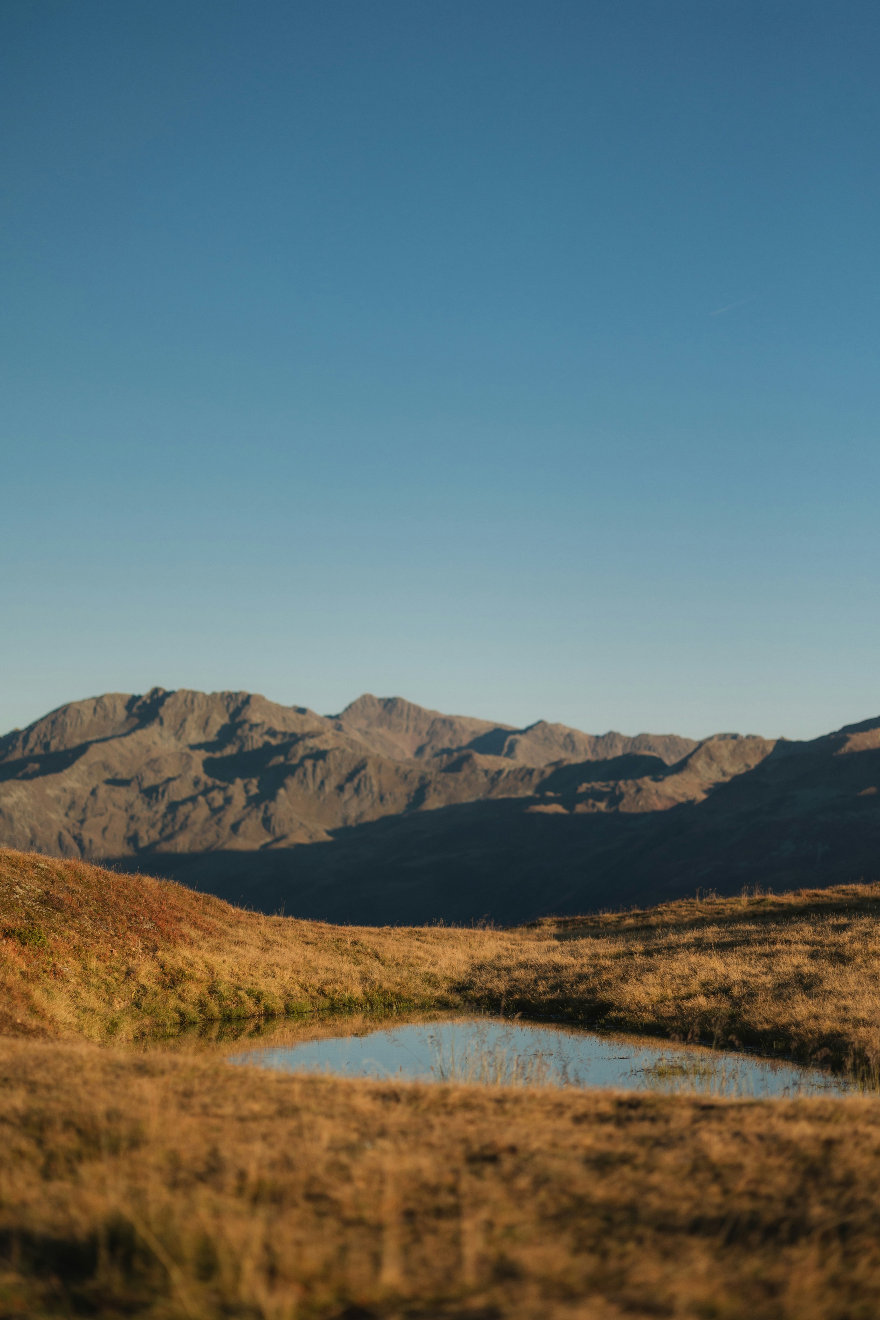 Photo by alex_gruber