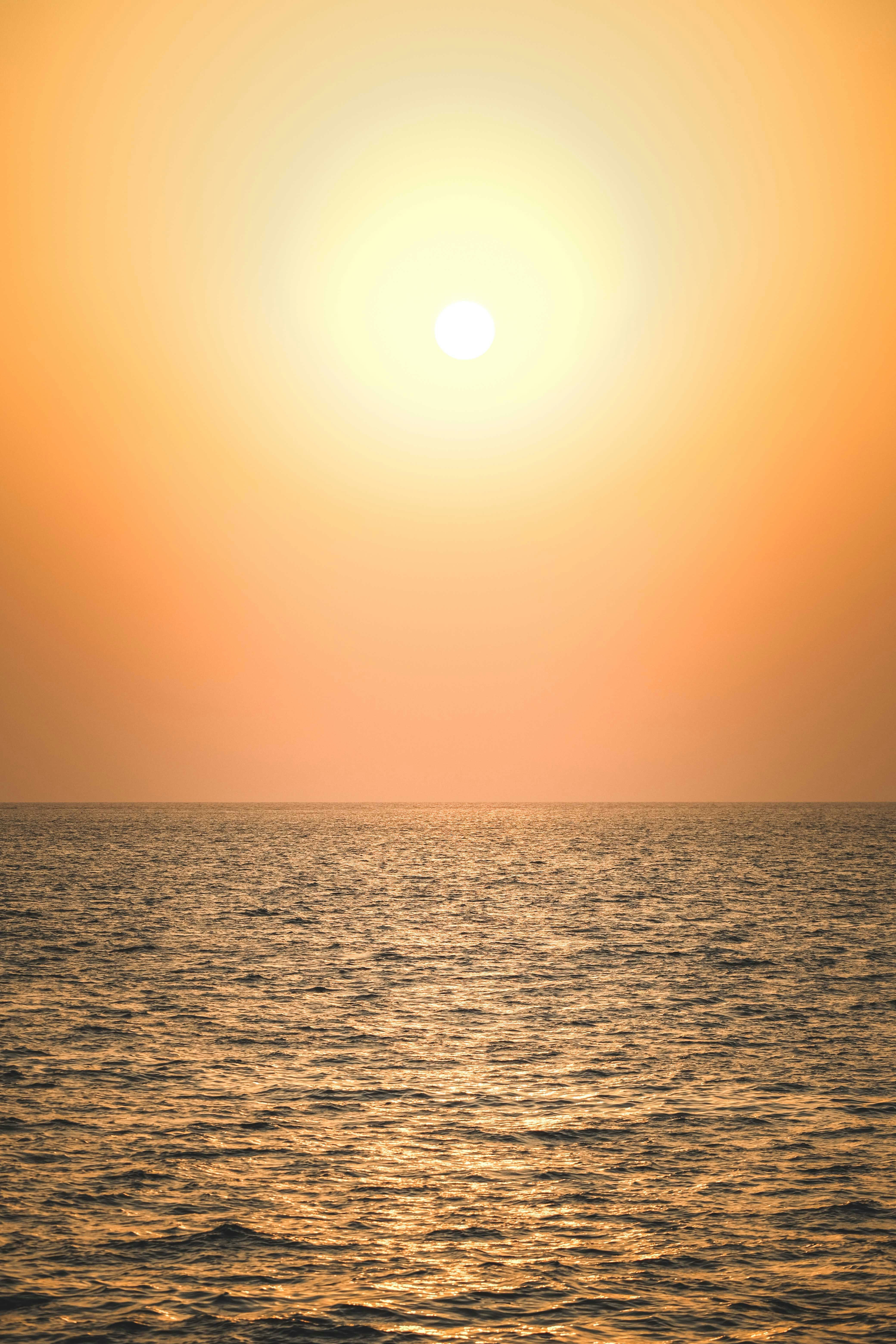 Photo by francesco_ungaro