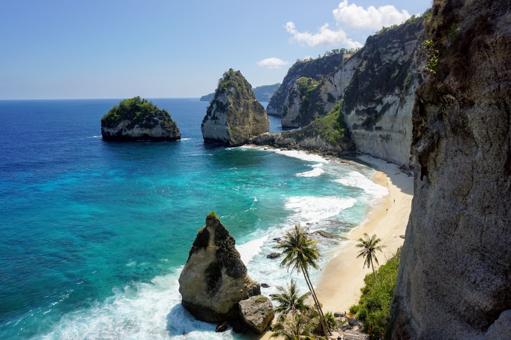 a beach with rocks and trees