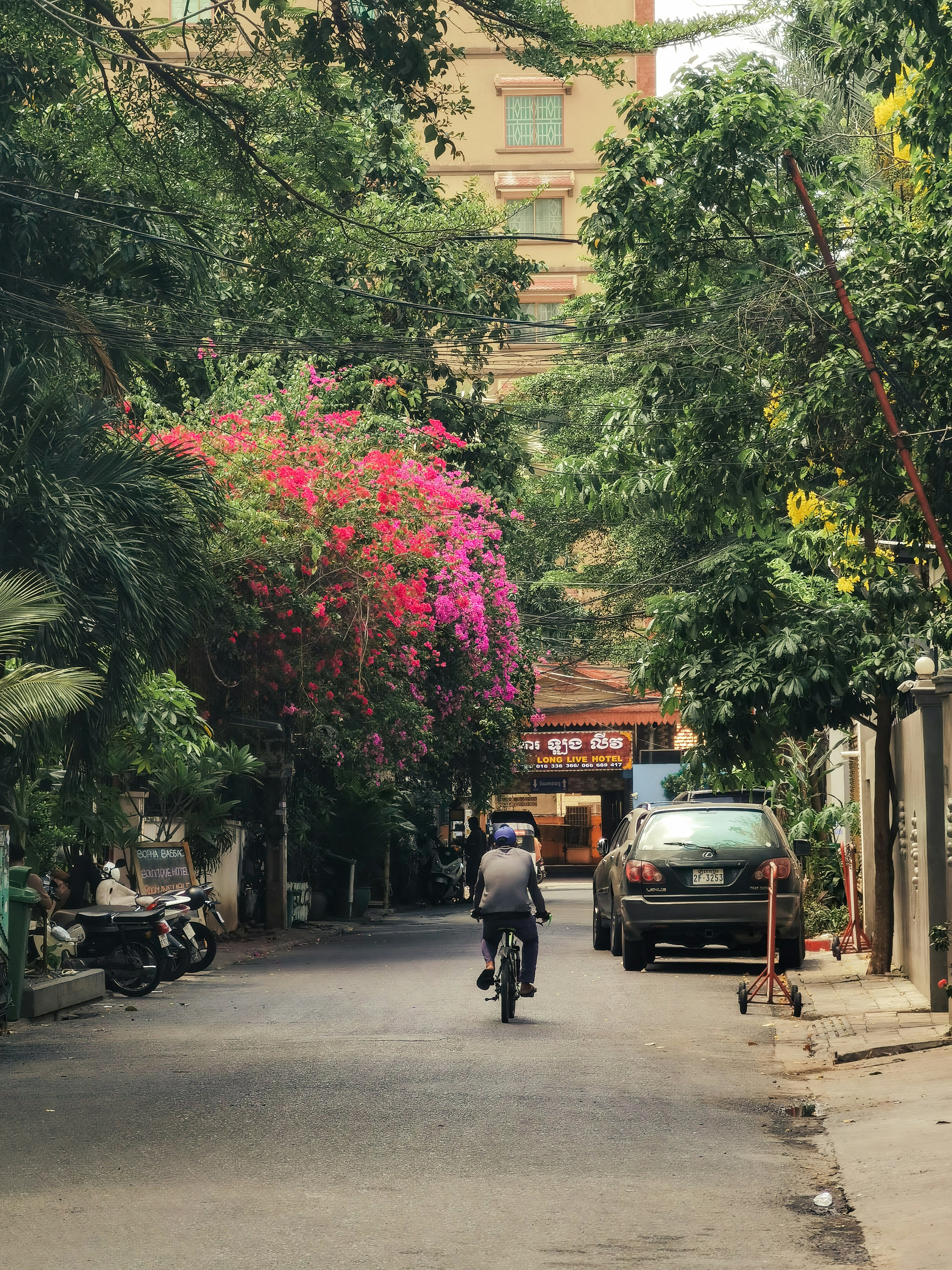 Photo by thoeunratana