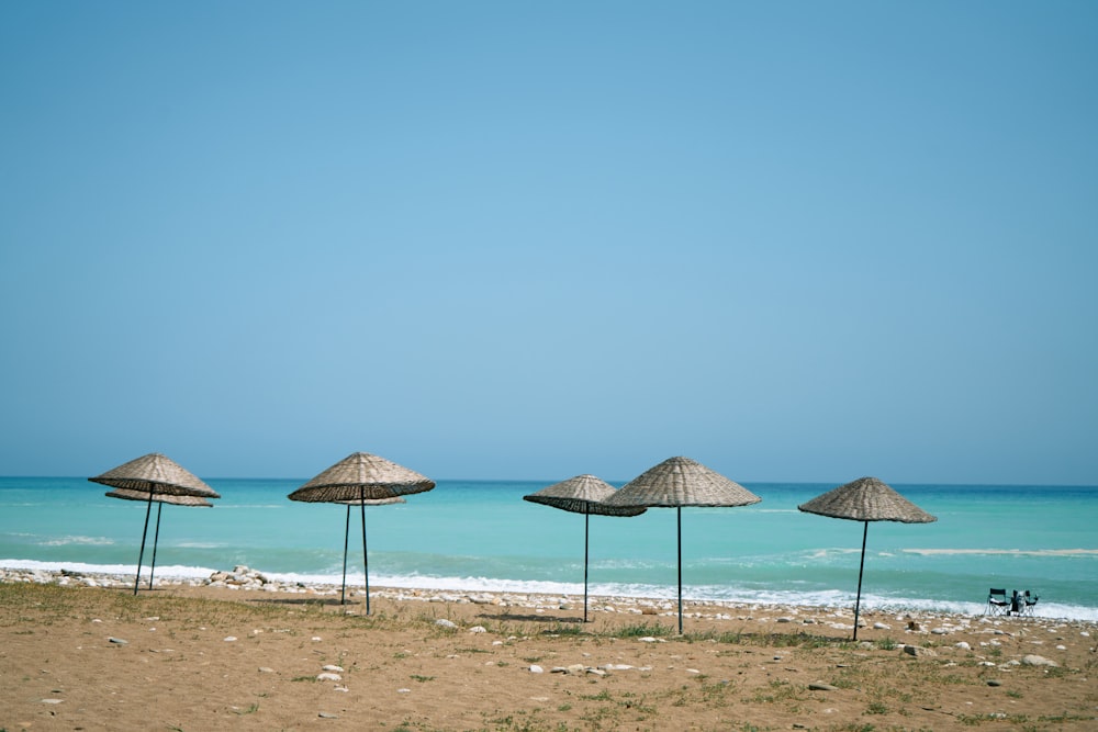 umbrellas on a beach