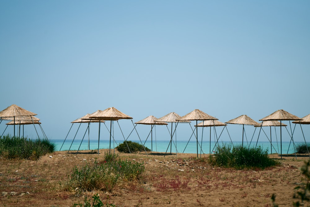 a group of straw umbrellas