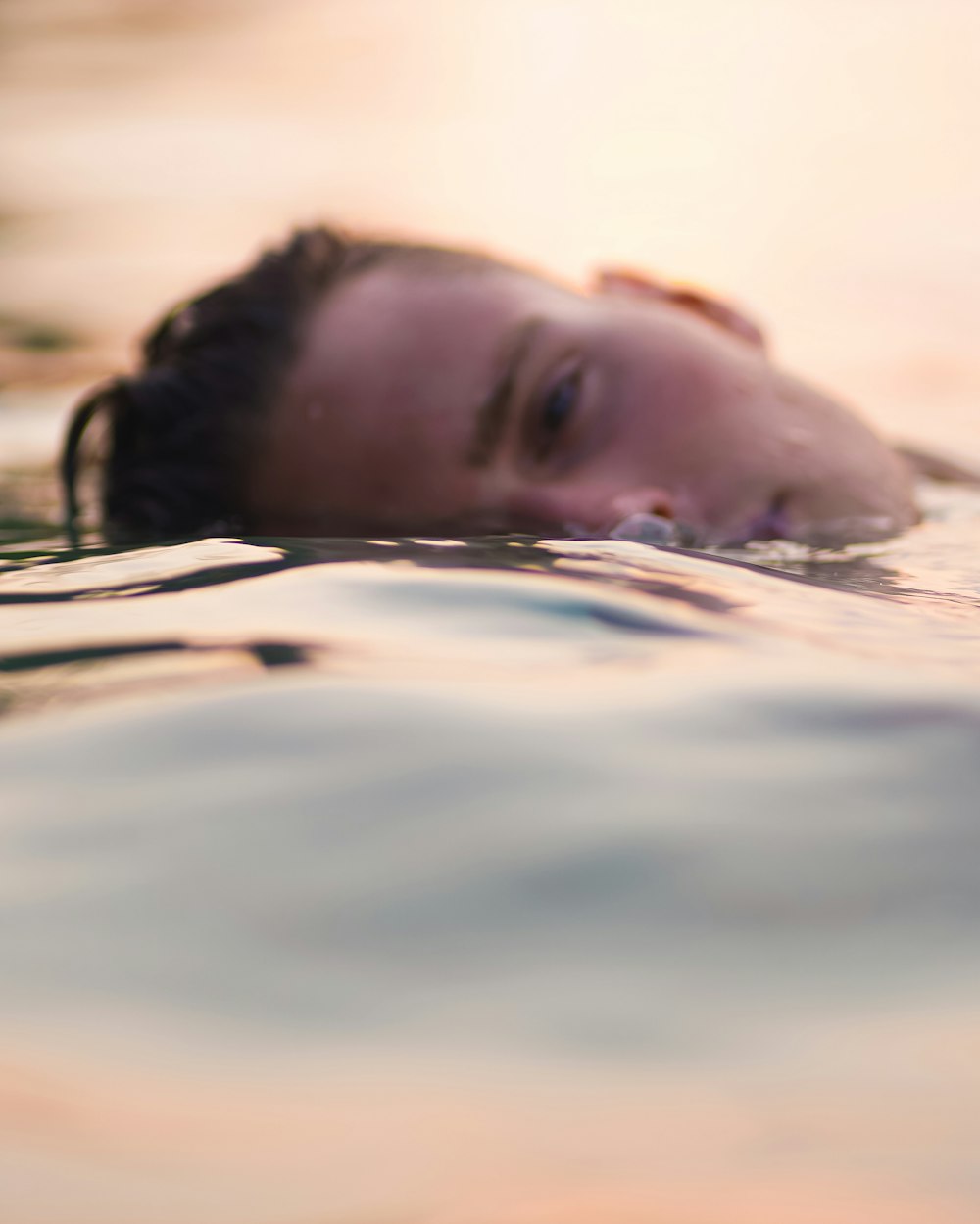 a seal swimming in the water