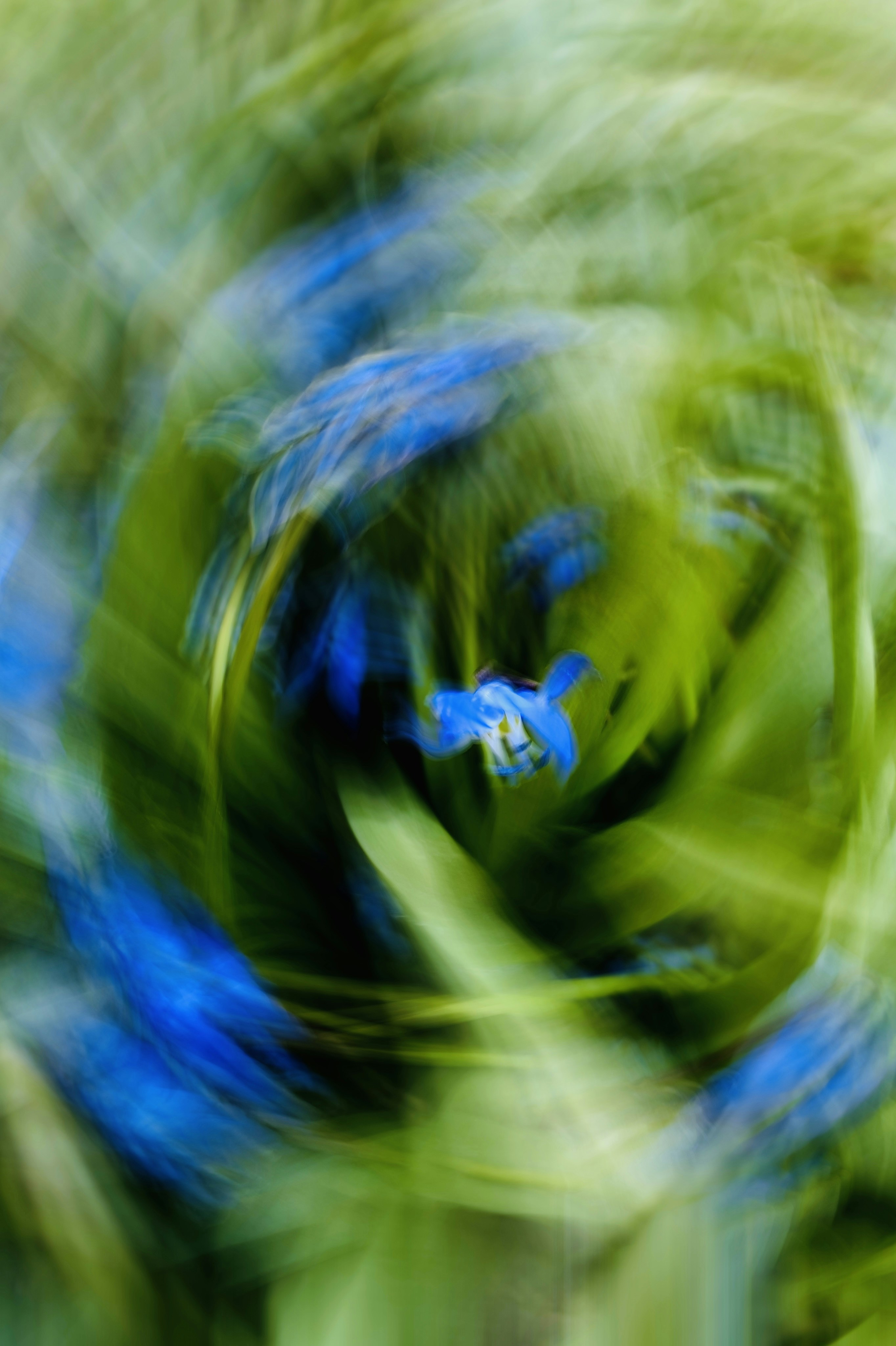 Photo by eugene_golovesov