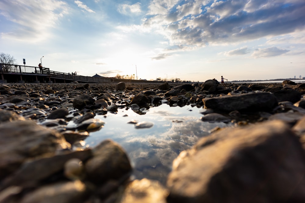 a group of people on a rocky beach