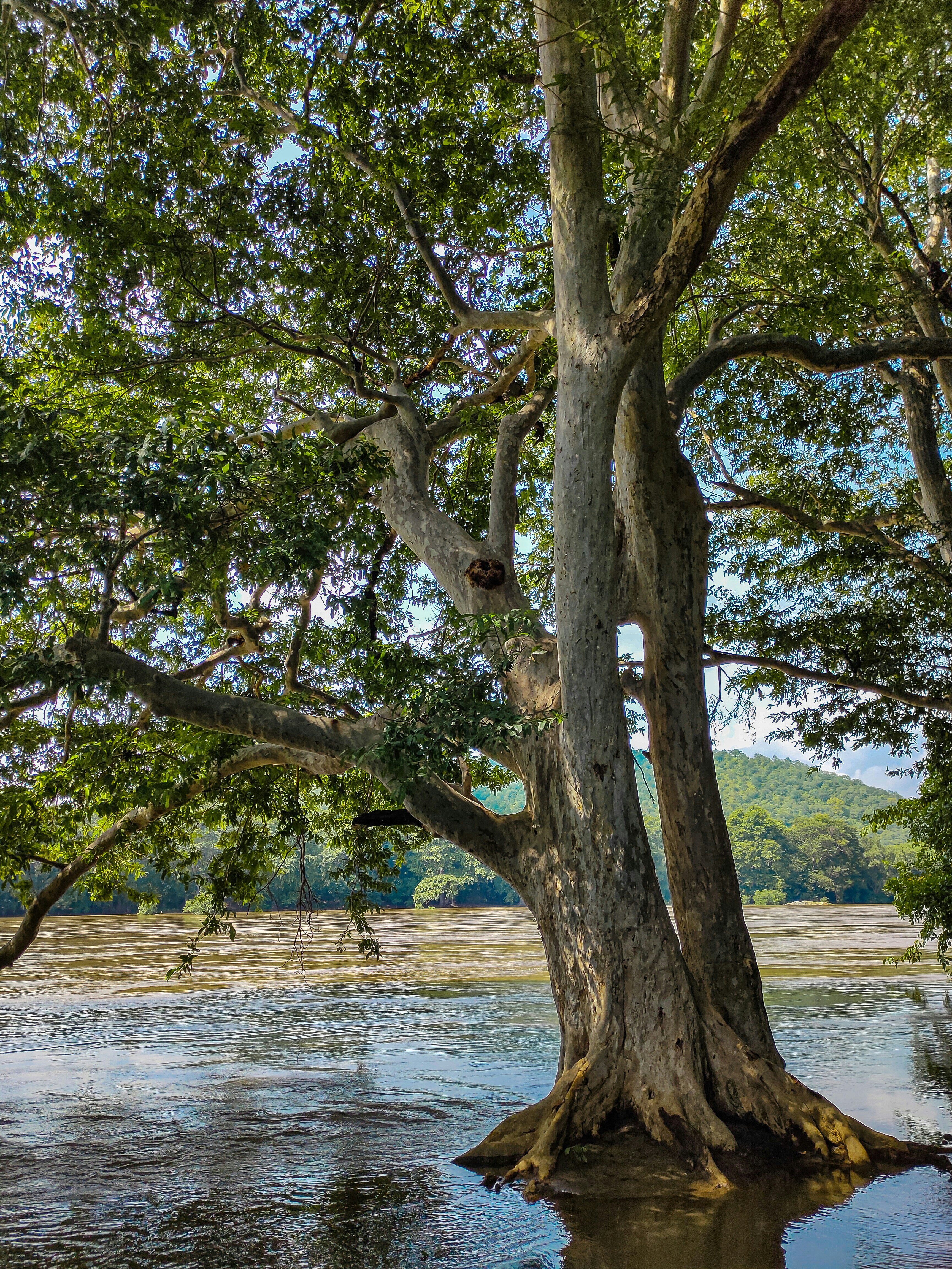 Photo by capturedmoments193