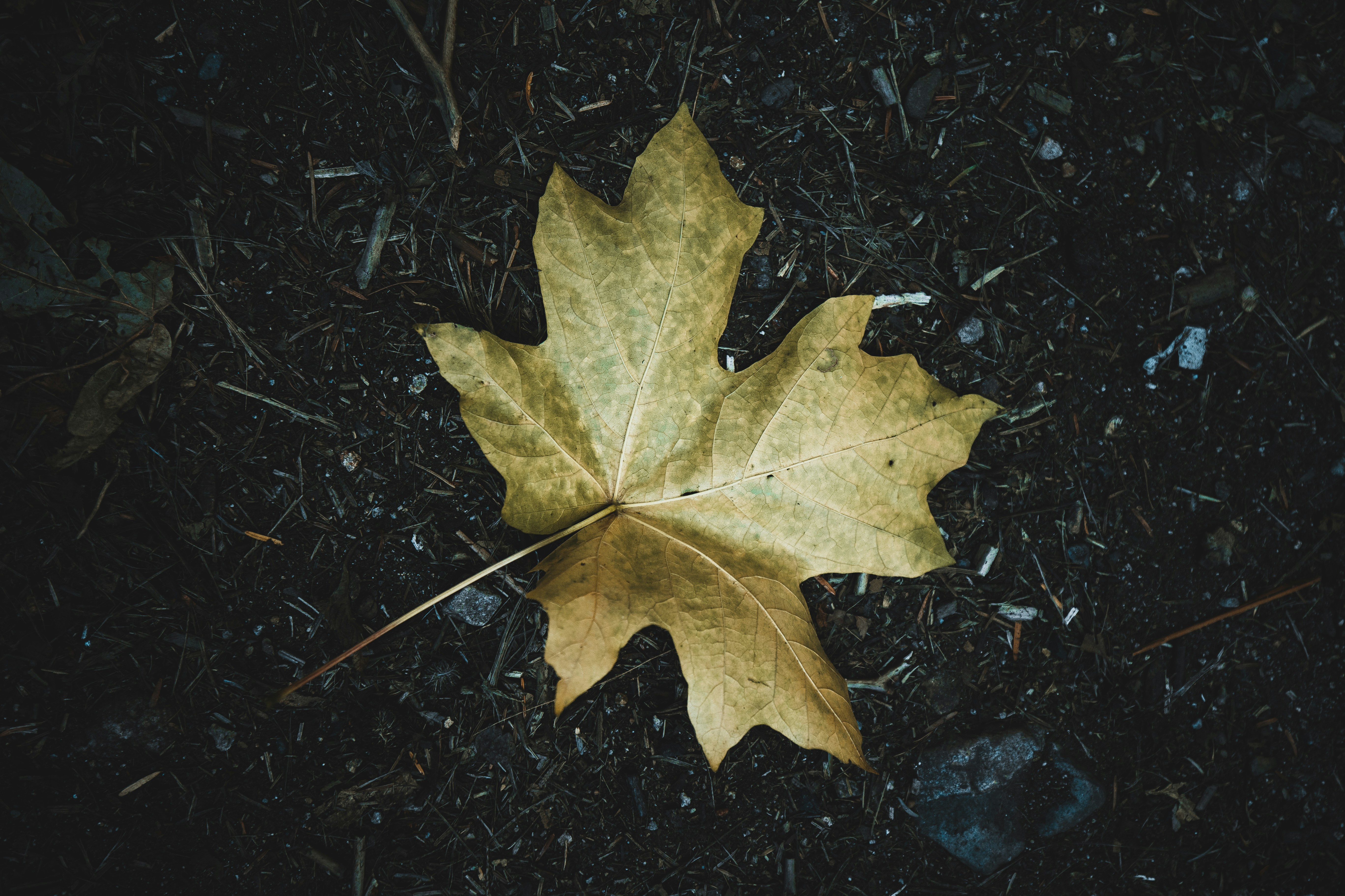 Photo by visualsbyroyalz