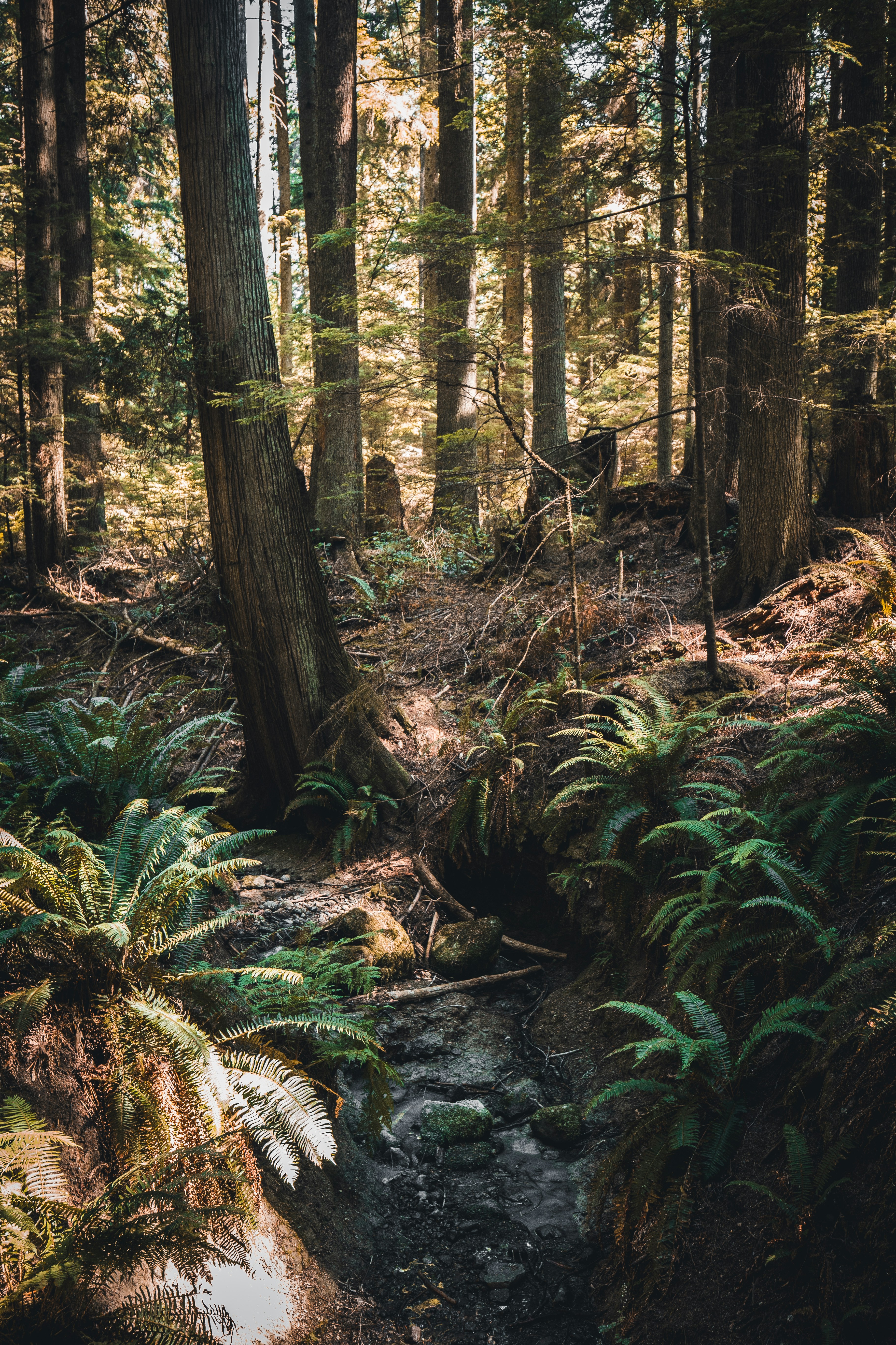 Photo by visualsbyroyalz