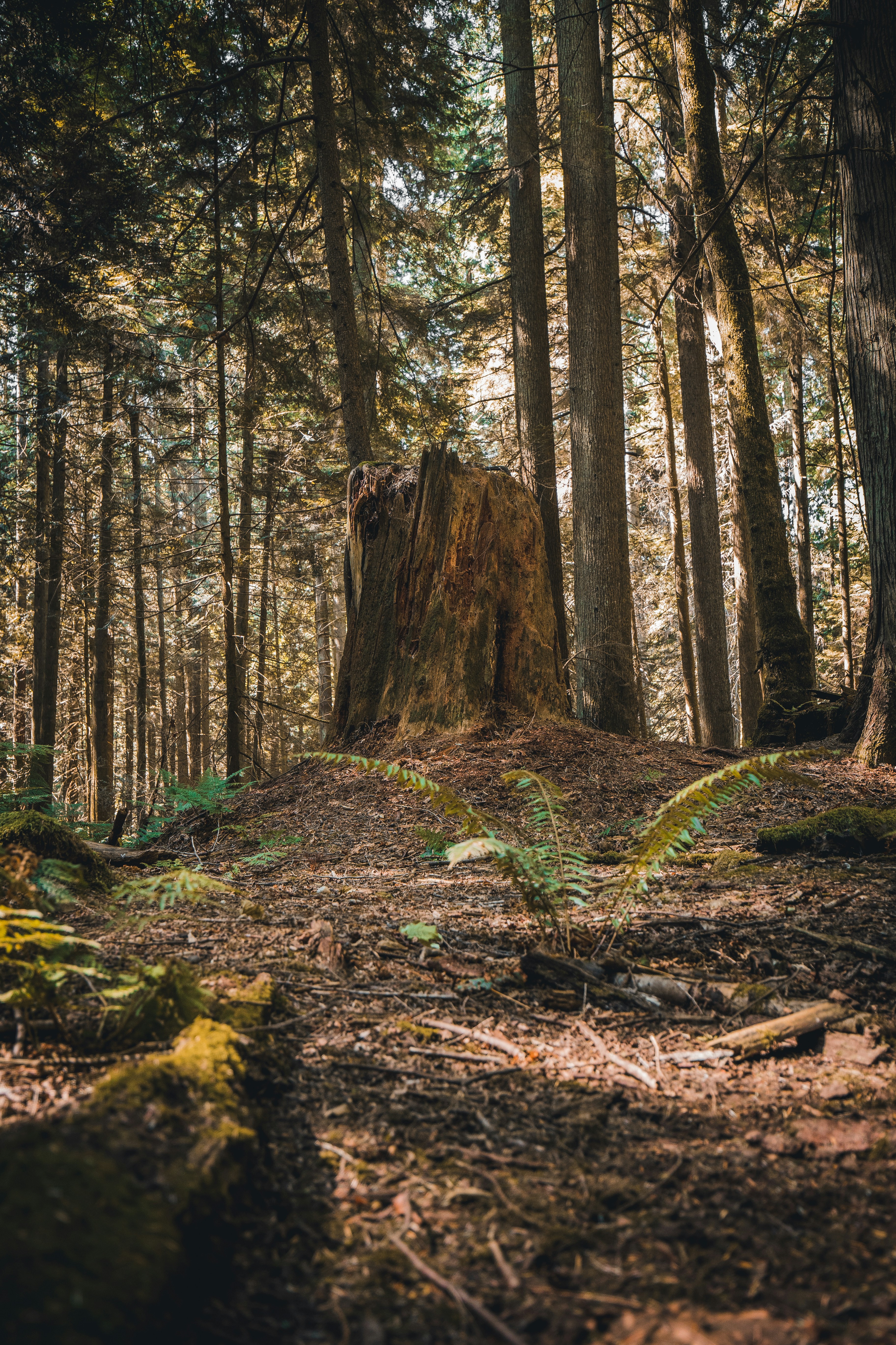 Photo by visualsbyroyalz