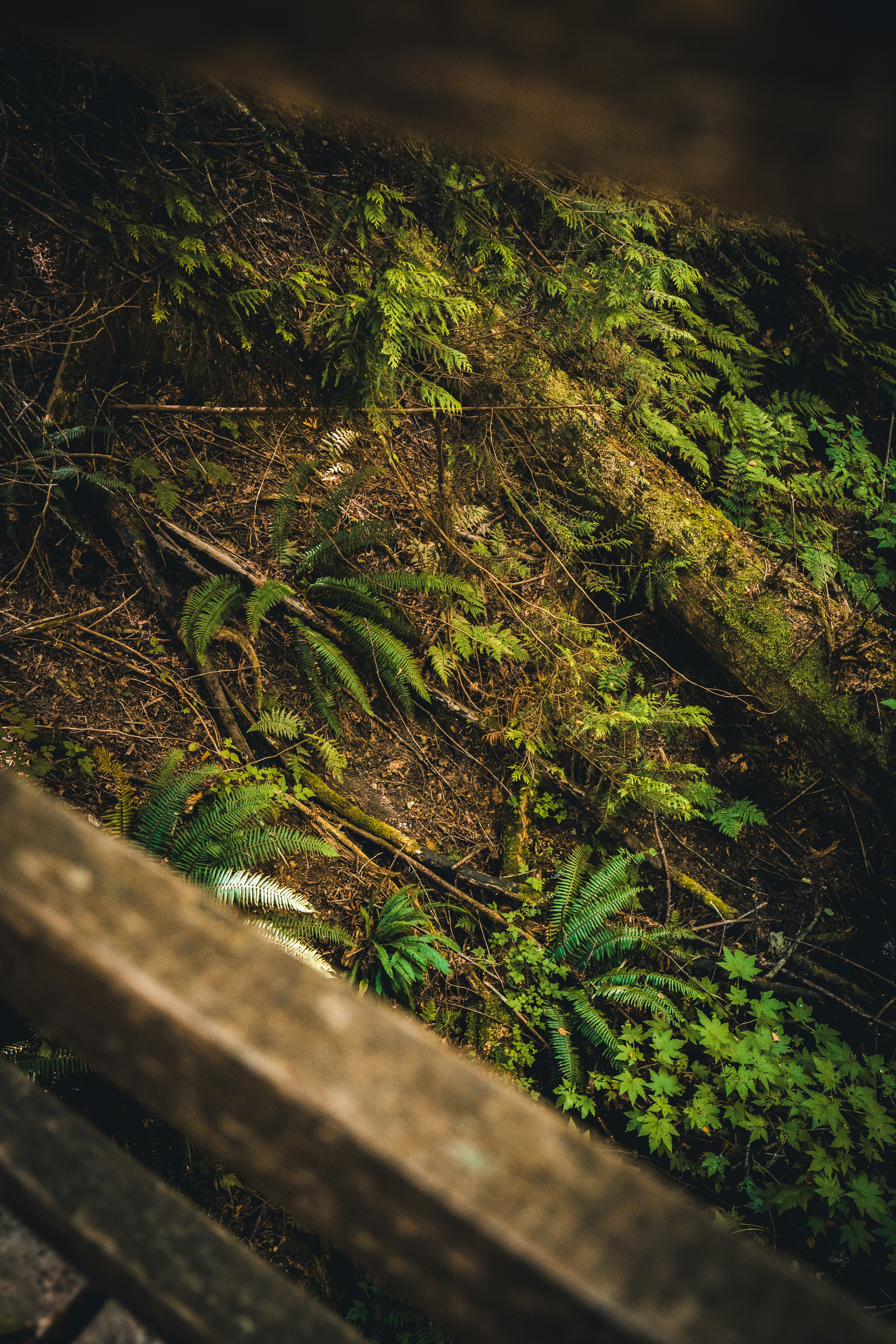 Photo by visualsbyroyalz