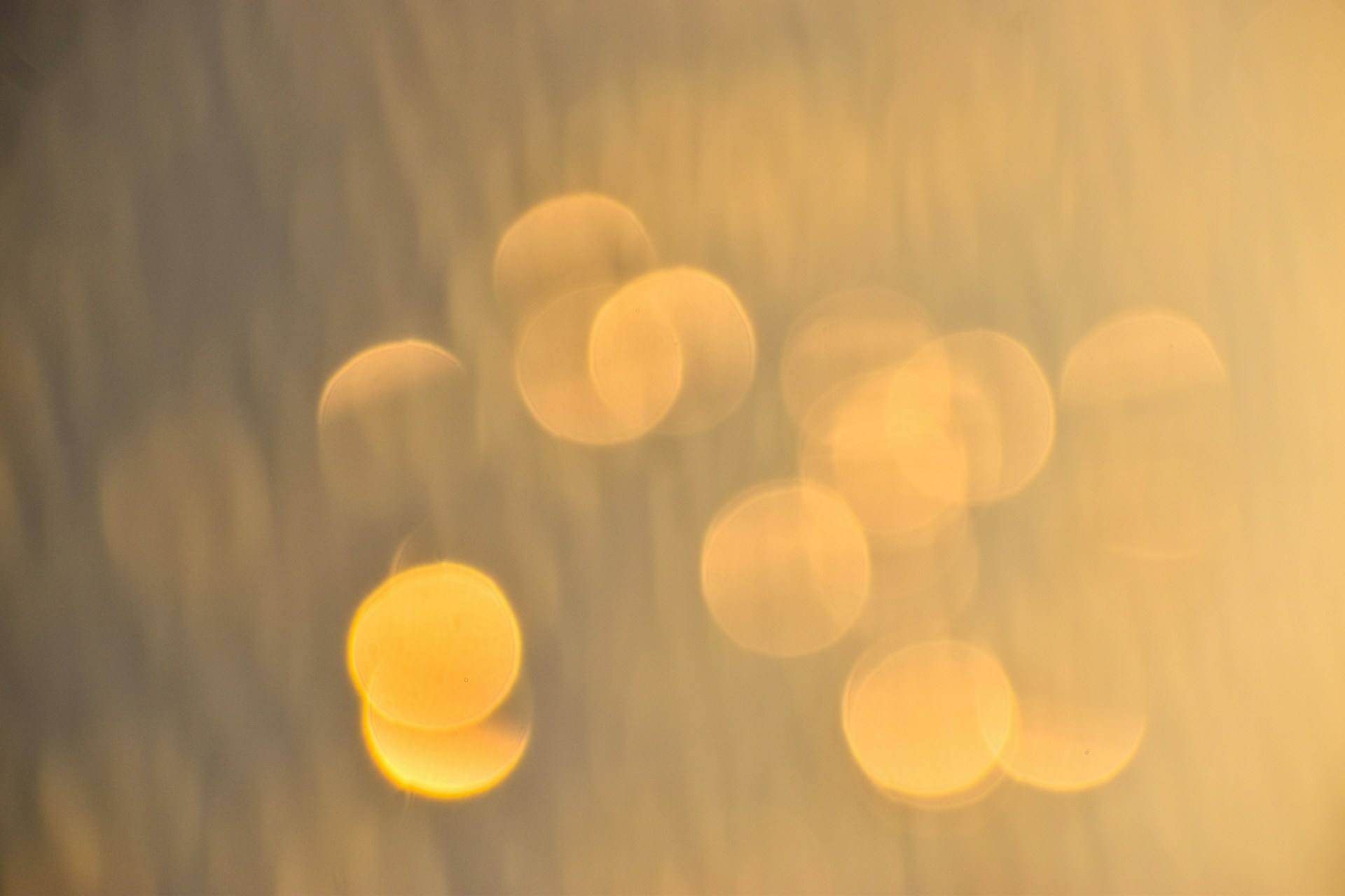 a group of light bulbs